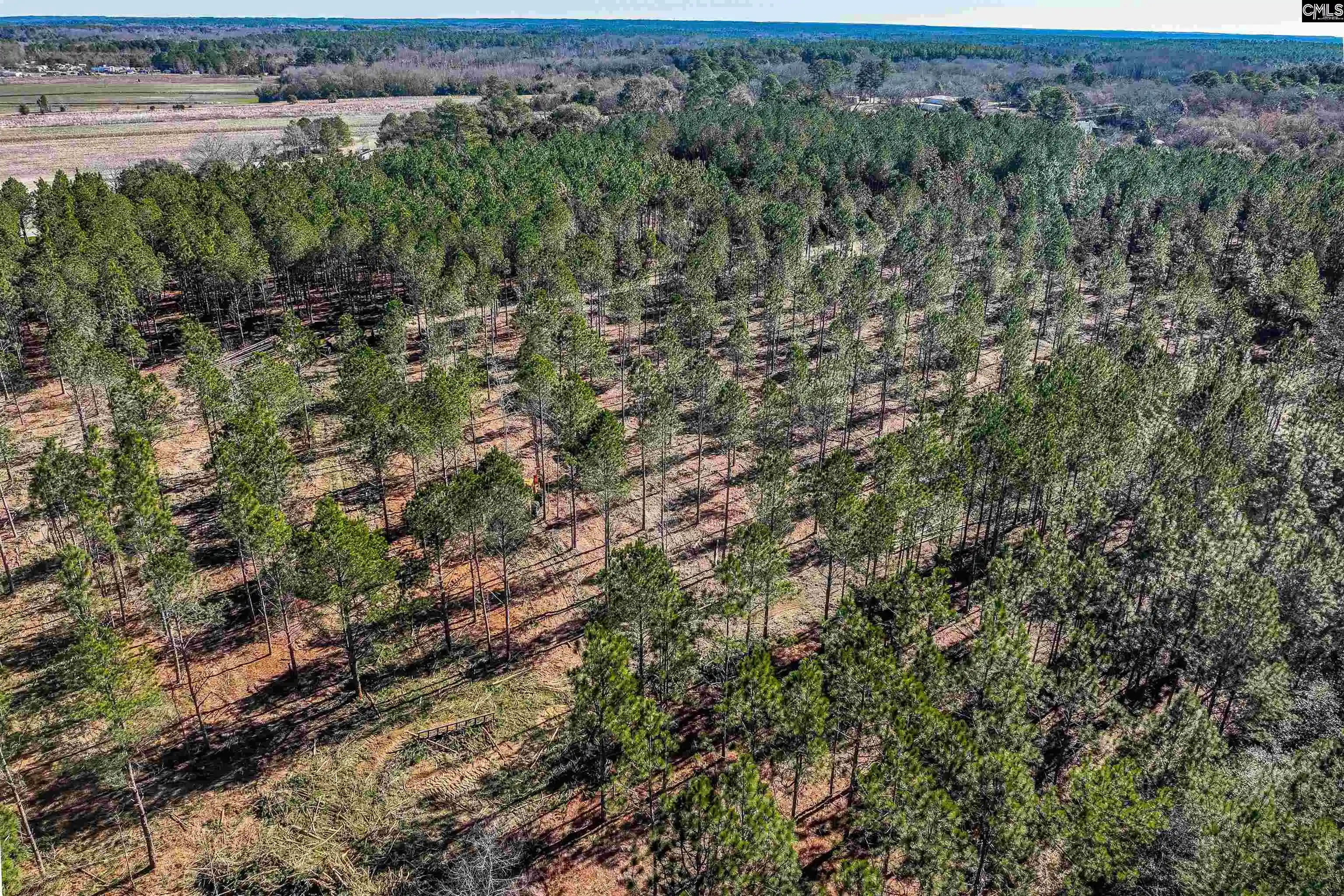 Photo 33 of Land for sale at Lot 3 Fairview #008200-07-010, Batesburg, SC 29006 | MLS# 640156 | Listing updated on 2026-08-13