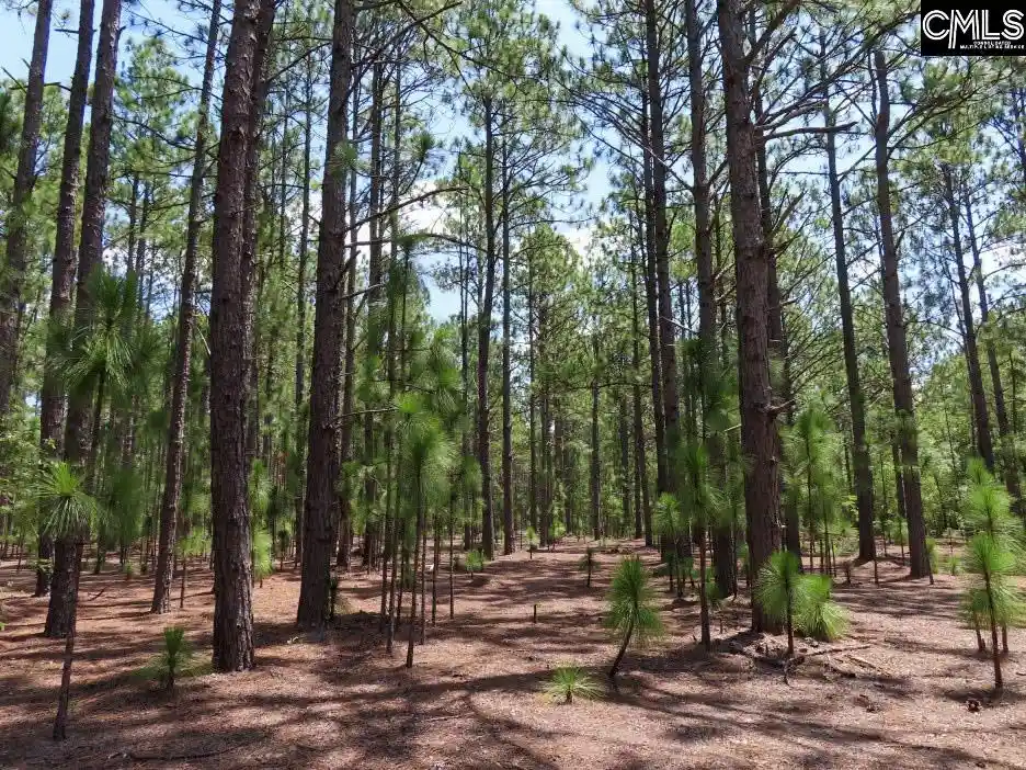 3rd image of 3915 Old Georgetown, Kershaw, SC 29067 | MLS# 640166