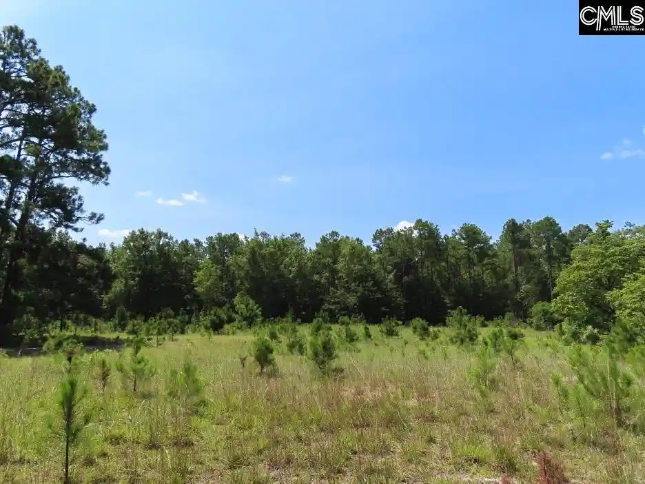 5th image of 3915 Old Georgetown, Kershaw, SC 29067 | MLS# 640166