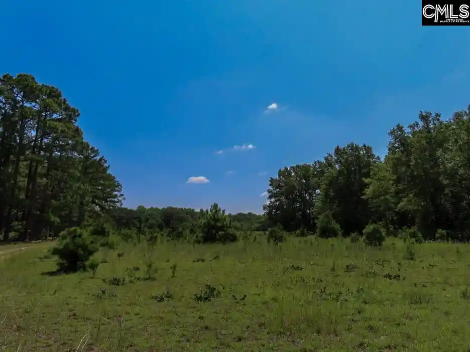 72nd image of 3915 Old Georgetown, Kershaw, SC 29067 | MLS# 640166