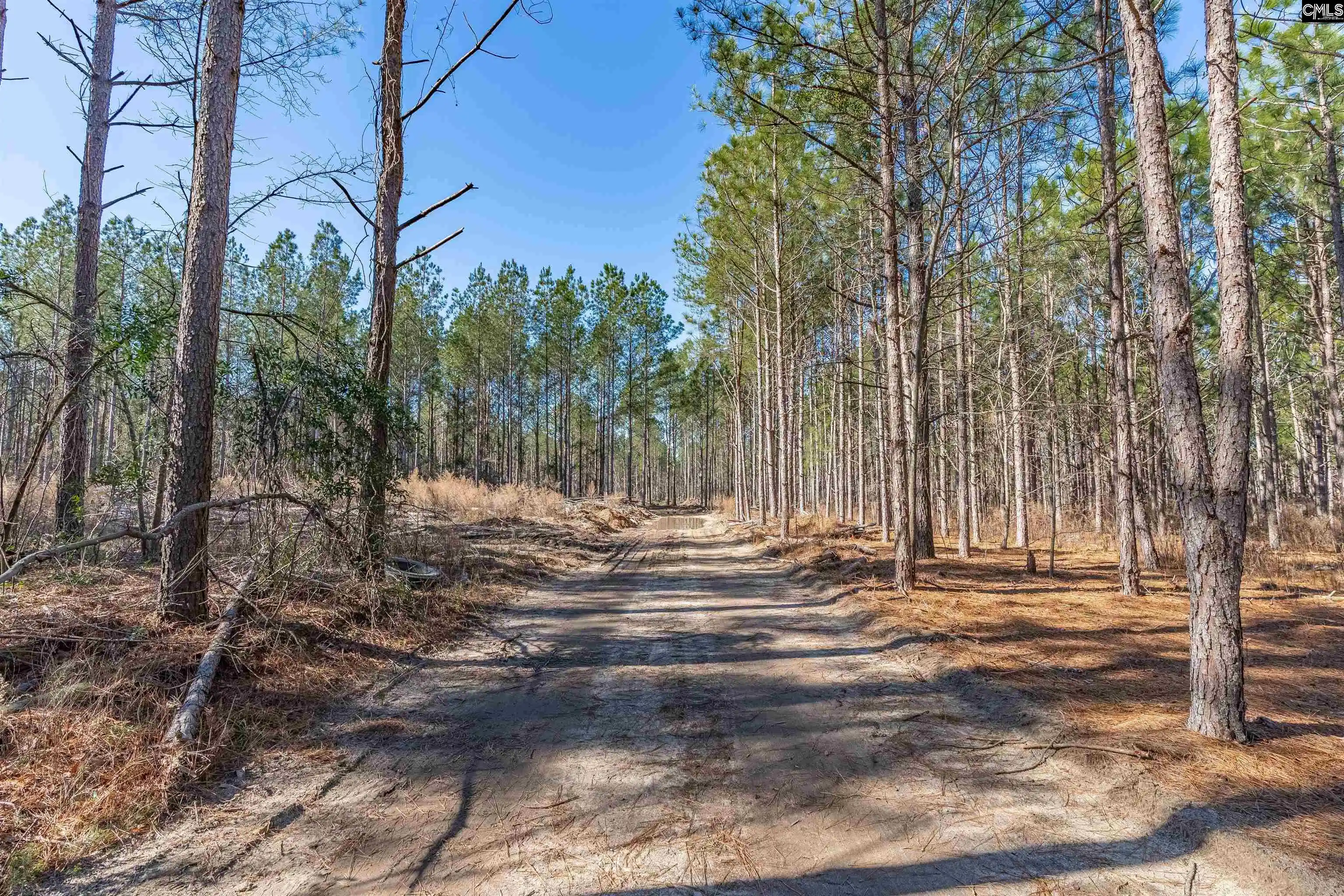 Photo 1 of Land for sale at Lot #7 Fairview #008200-07-010, Batesburg, SC 29006 | MLS# 640171 | Listing updated on 2026-08-06