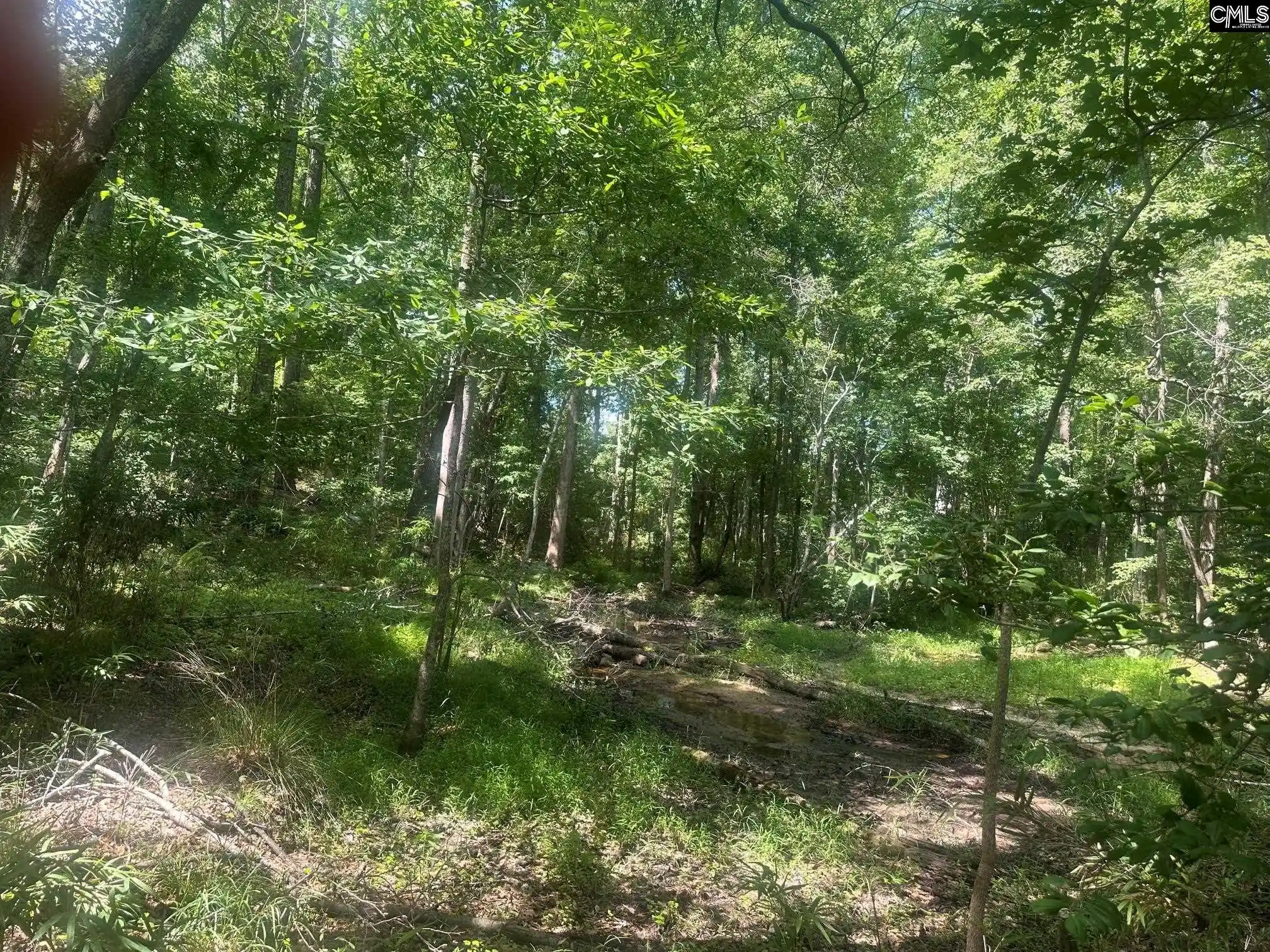 Photo 2 of Land for sale at 177 Albert Allen, Columbia, SC 29203 | MLS# 640243 | Listing updated on 2026-08-11