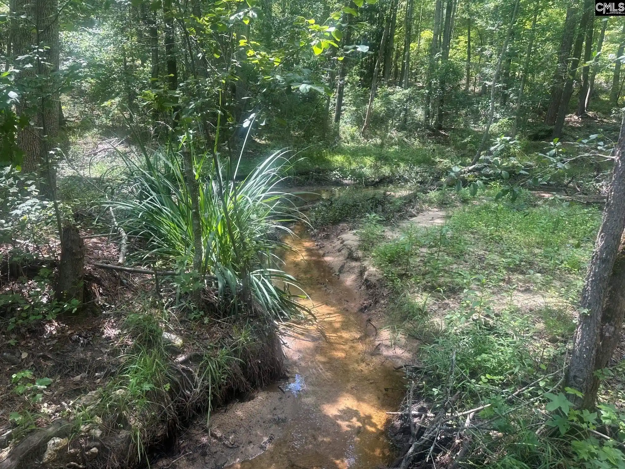 Photo 3 of Land for sale at 177 Albert Allen, Columbia, SC 29203 | MLS# 640243 | Listing updated on 2026-08-11