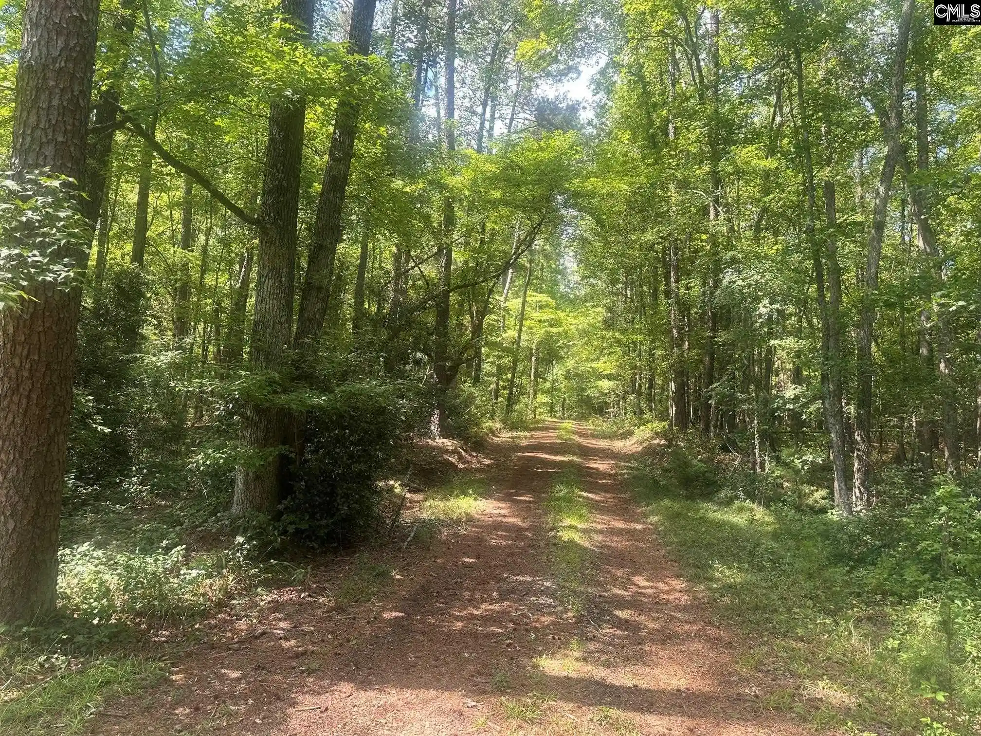 Photo 4 of Land for sale at 177 Albert Allen, Columbia, SC 29203 | MLS# 640243 | Listing updated on 2026-08-11