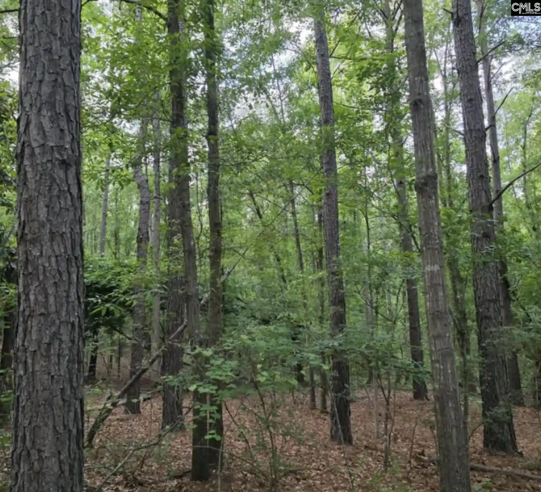 2nd image of 15 Acres Woodberry, North Augusta, SC 29841 | MLS# 640276