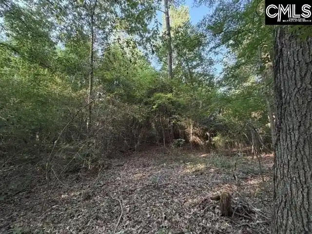 Photo 2 of Sale Pending at 0 Old Jollystreet, Newberry, SC 29108 | MLS# 640303 | Listing updated on 2026-08-24