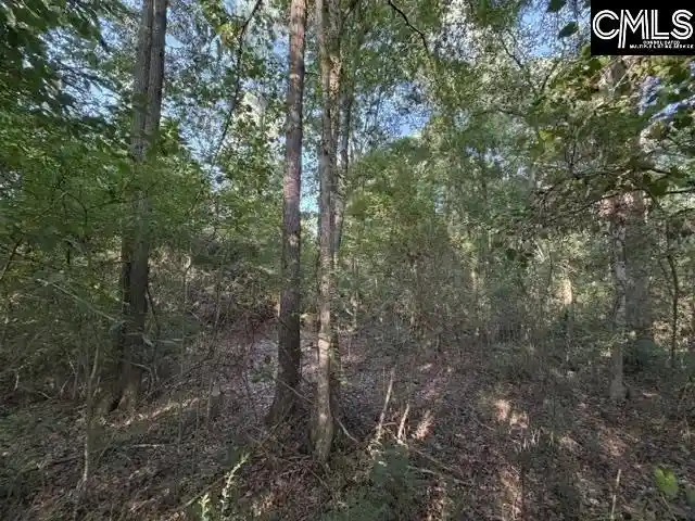 Photo 3 of Sale Pending at 0 Old Jollystreet, Newberry, SC 29108 | MLS# 640303 | Listing updated on 2026-08-24