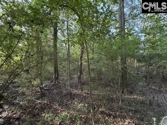 Photo 4 of Sale Pending at 0 Old Jollystreet, Newberry, SC 29108 | MLS# 640303 | Listing updated on 2026-08-24