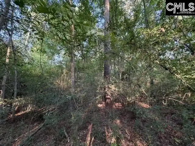 Photo 12 of Sale Pending at 0 Old Jollystreet, Newberry, SC 29108 | MLS# 640303 | Listing updated on 2026-08-24