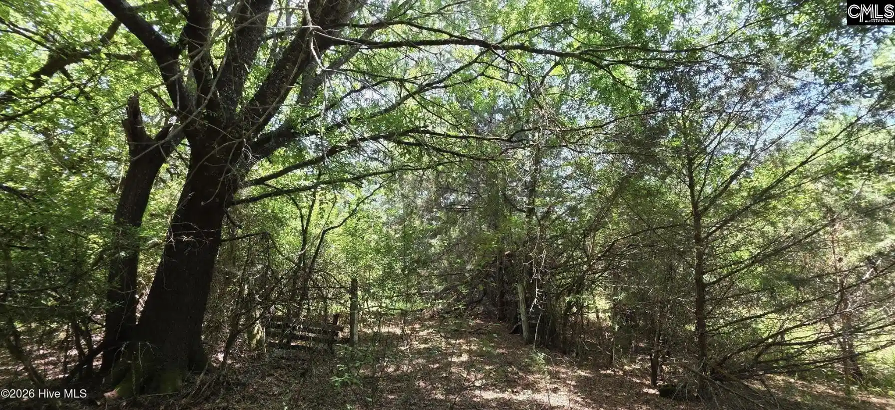 Photo 2 of Land for sale at 105 Acres Chestnut Ridge, Mc Cormick, SC 29835 | MLS# 640321 | Listing updated on 2026-08-07