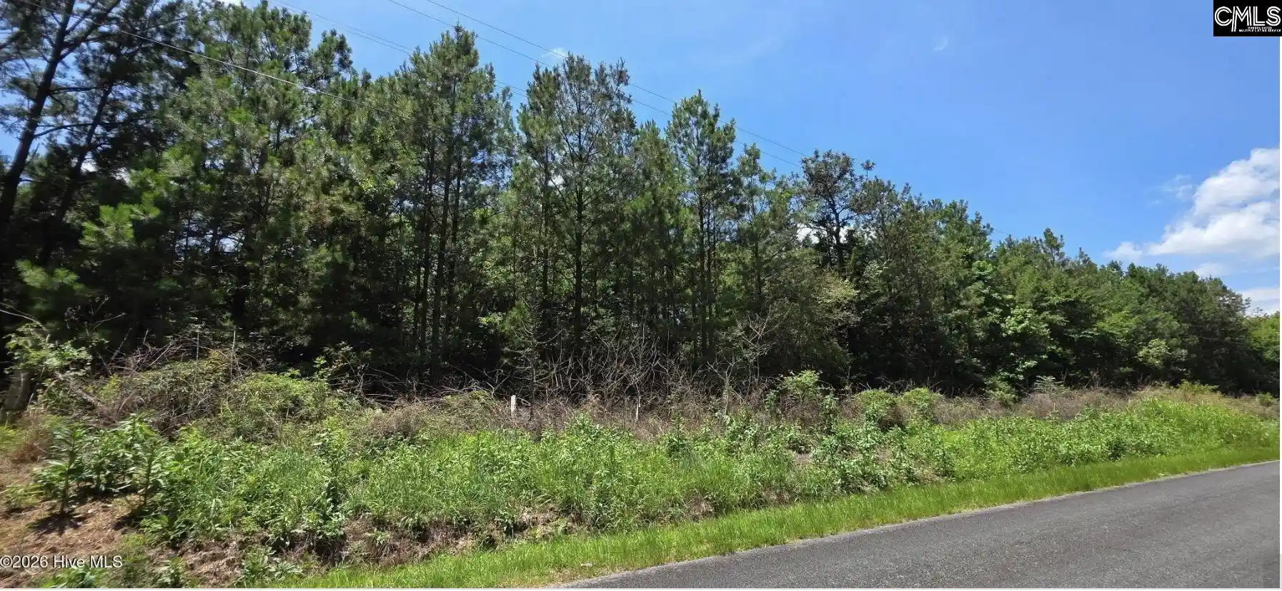 Photo 3 of Land for sale at 105 Acres Chestnut Ridge, Mc Cormick, SC 29835 | MLS# 640321 | Listing updated on 2026-09-16