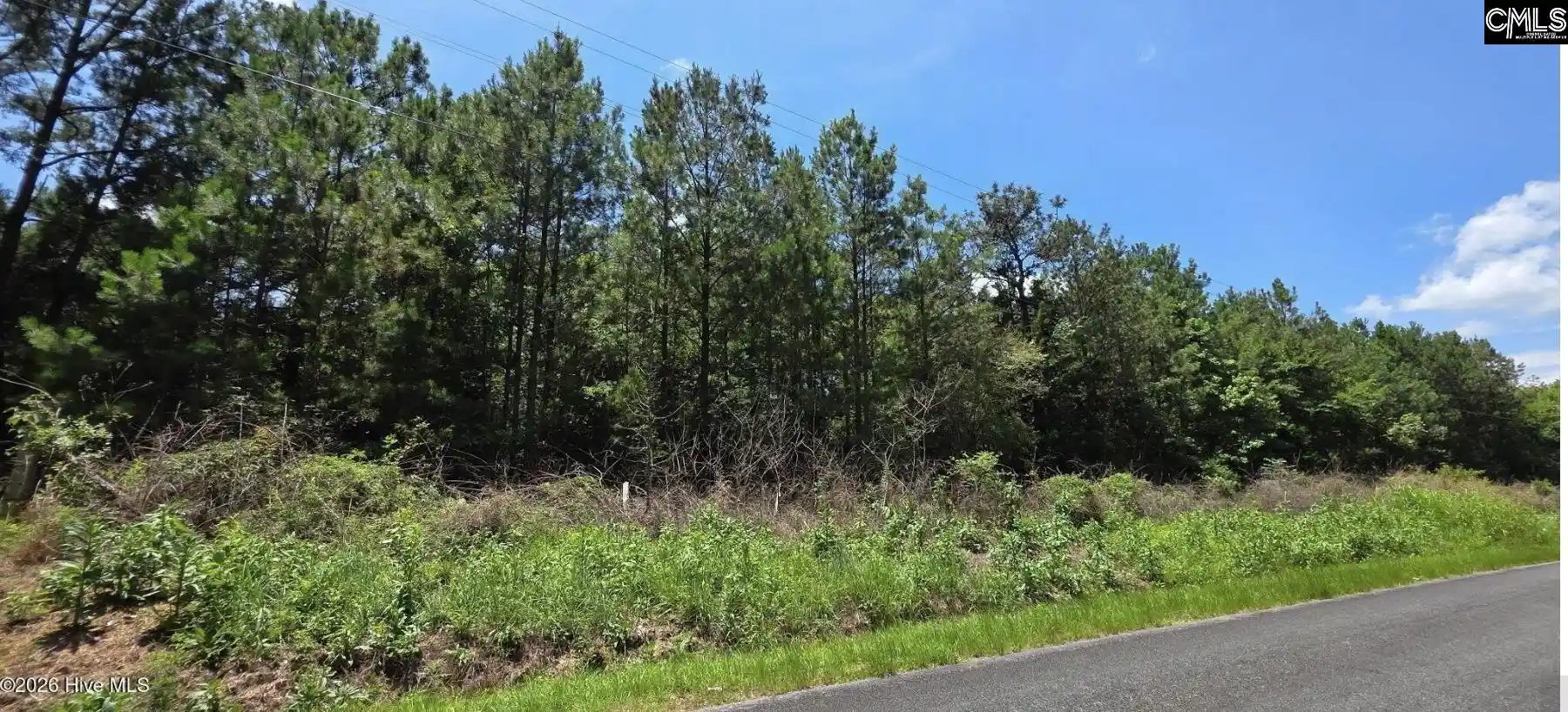 Photo 2 of Land for sale at 5 Acres Chestnut Ridge, Mc Cormick, SC 29835 | MLS# 640325 | Listing updated on 2026-08-07