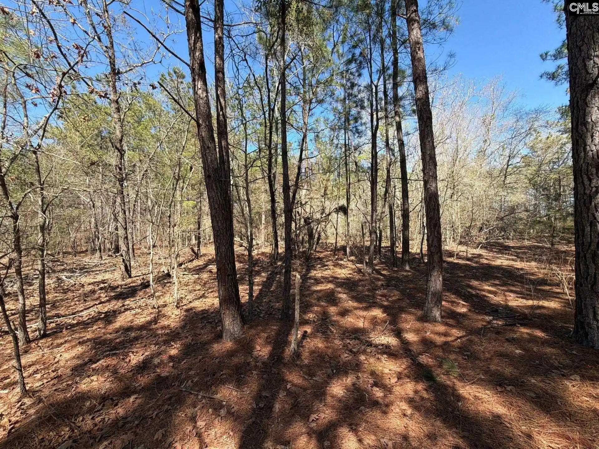 2nd image of Bhl 15 Boise Cascade, Bethune, SC 29009 | MLS# 640362
