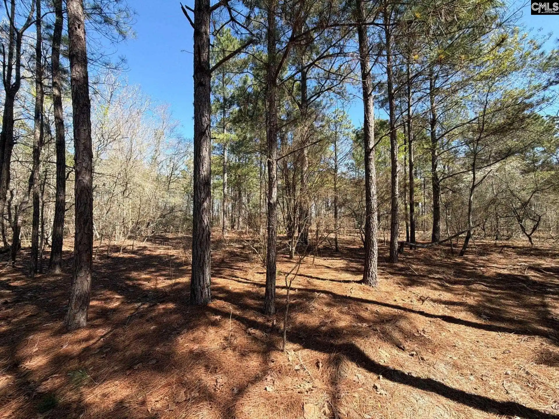 Photo 3 of Land for sale at Bhl 15 Boise Cascade, Bethune, SC 29009 | MLS# 640362 | Listing updated on 2026-08-27