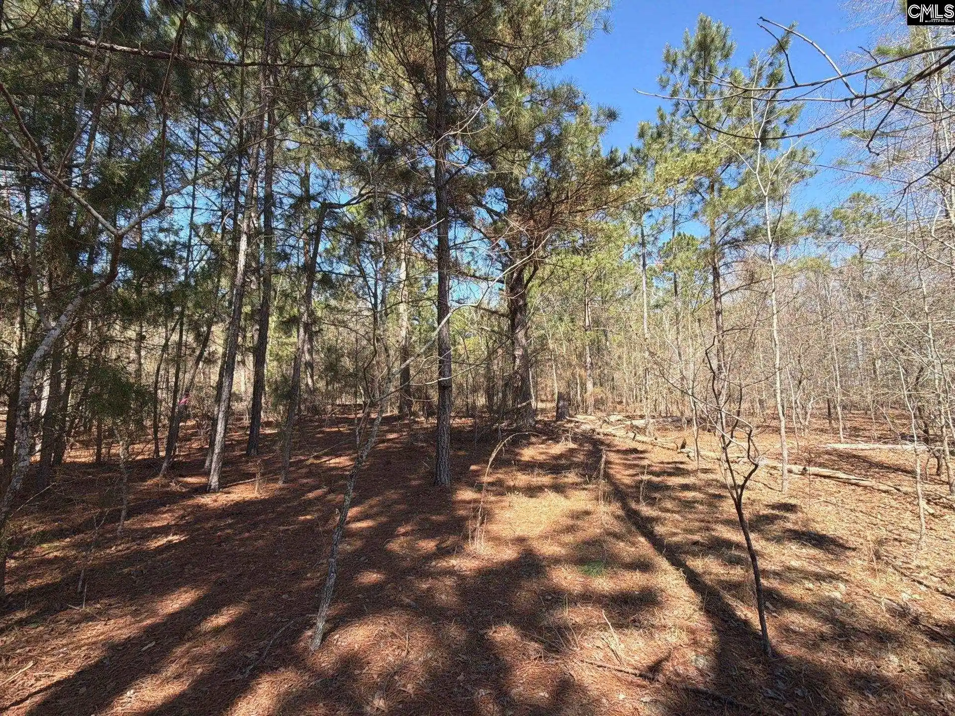 Photo 3 of Land for sale at Bhl 15 Boise Cascade, Bethune, SC 29009 | MLS# 640362 | Listing updated on 2026-08-27