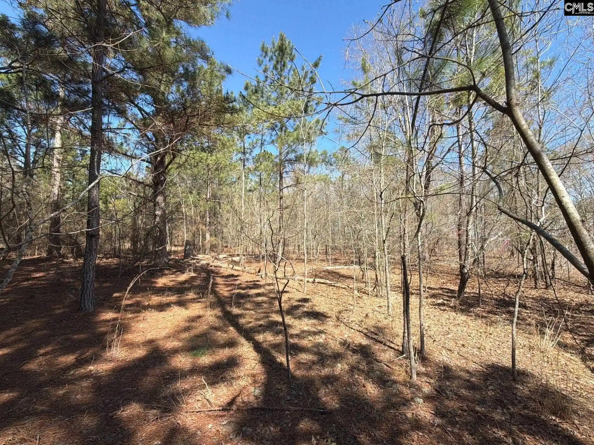 Photo 4 of Land for sale at Bhl 15 Boise Cascade, Bethune, SC 29009 | MLS# 640362 | Listing updated on 2026-08-27