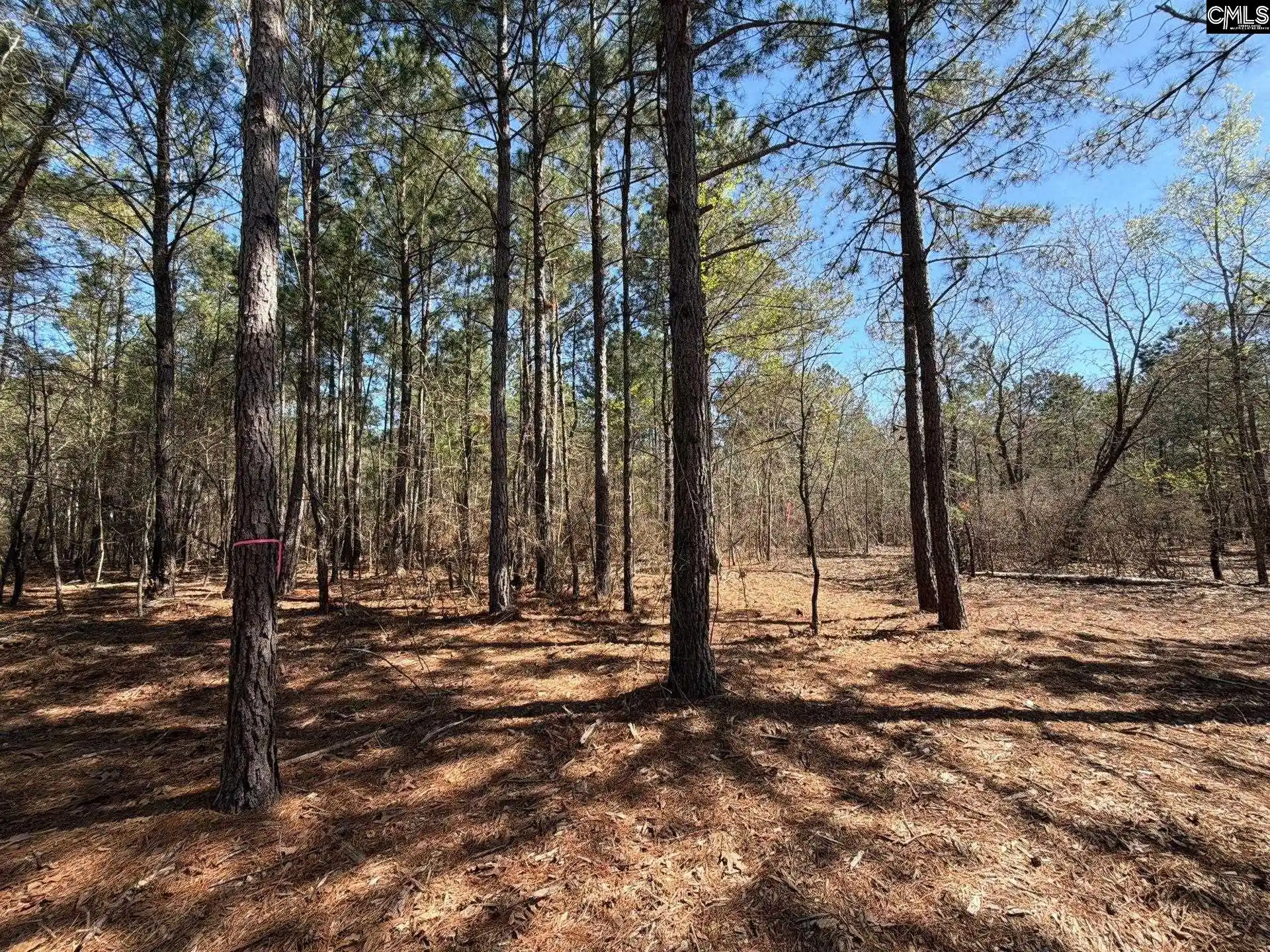 15th image of Bhl 15 Boise Cascade, Bethune, SC 29009 | MLS# 640362