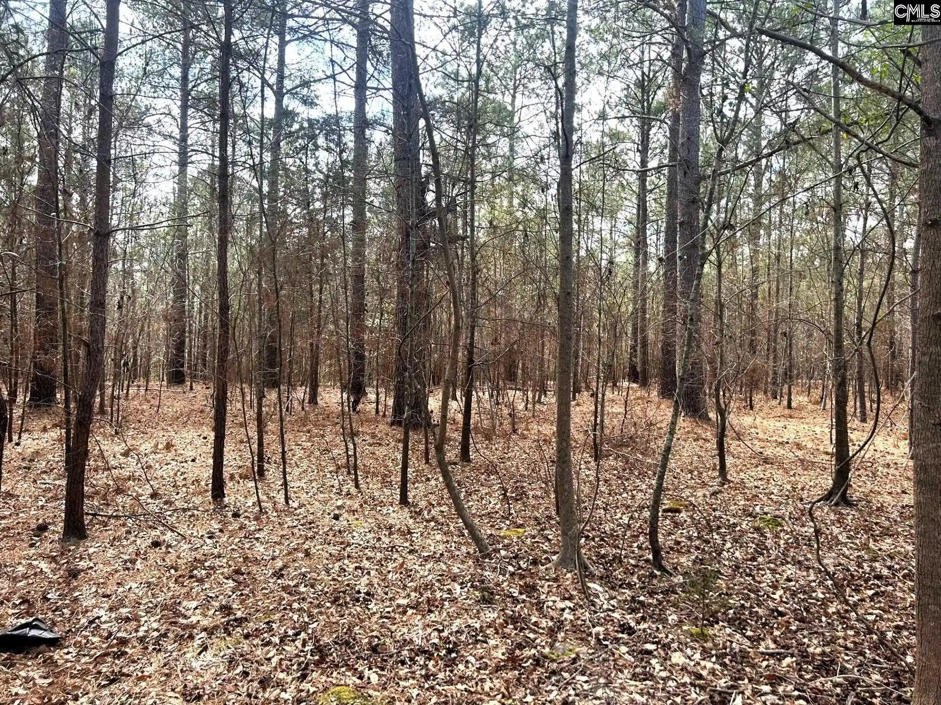 1st image of Tbd A Old Dutch, Little Mountain, SC 29075 | MLS# 640432