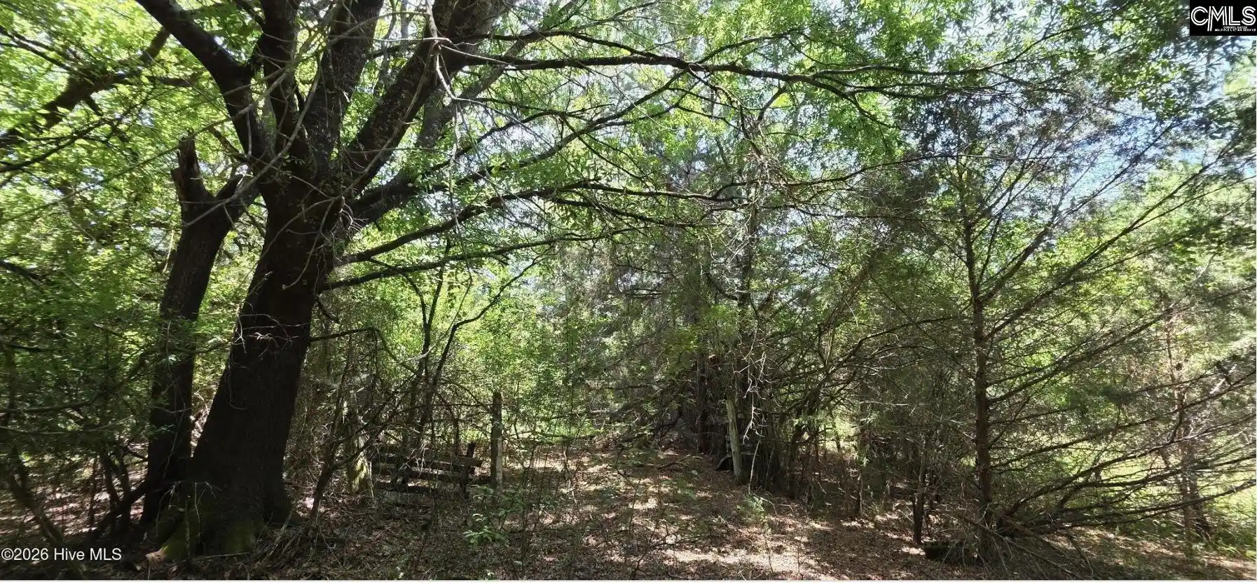 Photo 2 of Land for sale at 20 Acres Chestnut Ridge, Mc Cormick, SC 29835 | MLS# 640472 | Listing updated on 2026-08-10