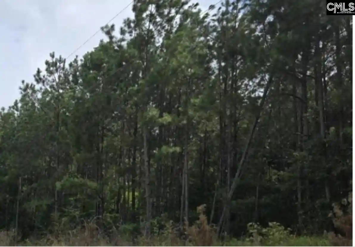 2nd image of 10 Acres Old Edgefield, Ninety Six, SC 29666 | MLS# 640473