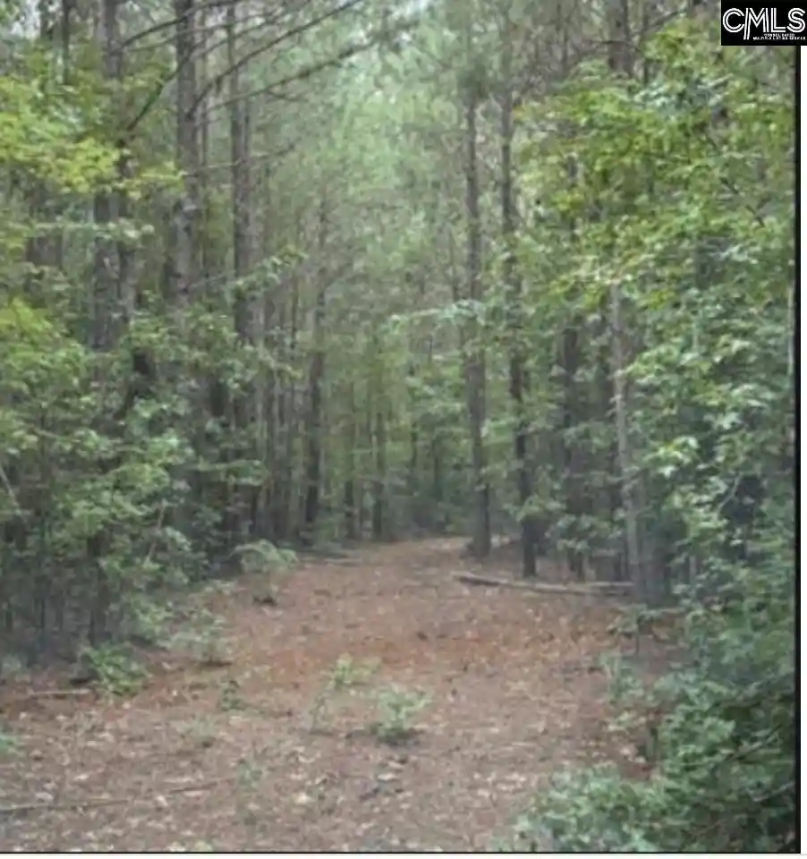2nd image of 5 Acres Old Edgefield, Ninety Six, SC 29666 | MLS# 640474