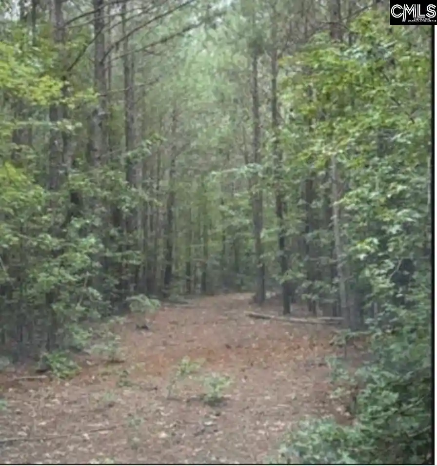 2nd image of 3 Acres Old Edgefield, Ninety Six, SC 29666 | MLS# 640476