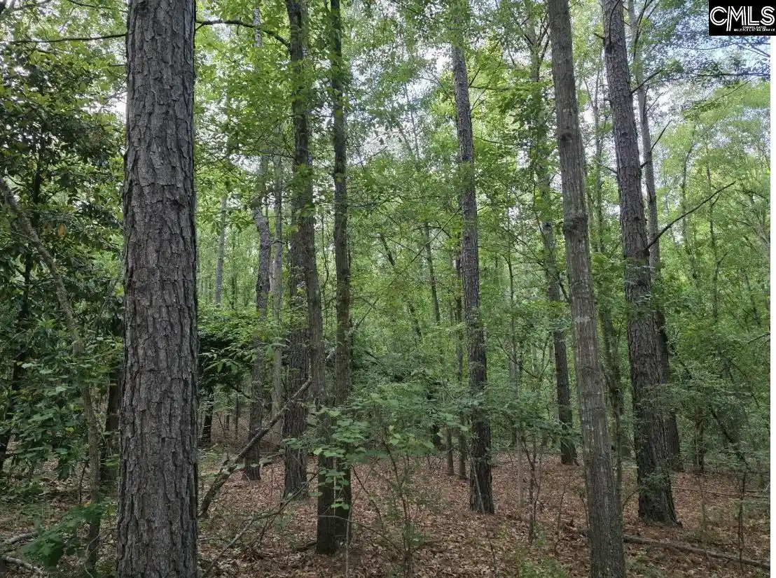 2nd image of 7 Acres Woodberry, North Augusta, SC 29841 | MLS# 640481