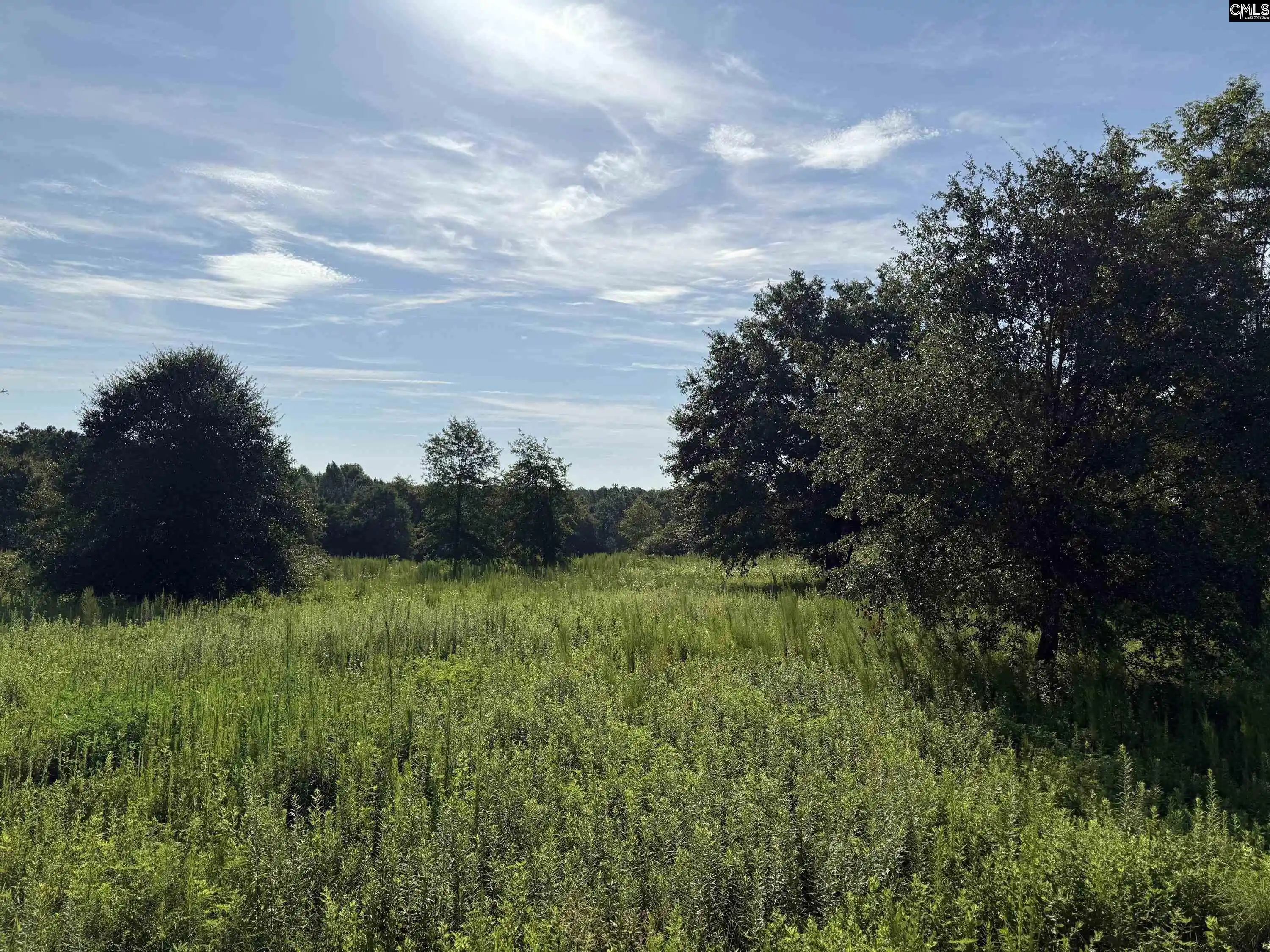 Photo 3 of Land for sale at 469 Brodie, Leesville, SC 29070 | MLS# 640484 | Listing updated on 2026-08-11