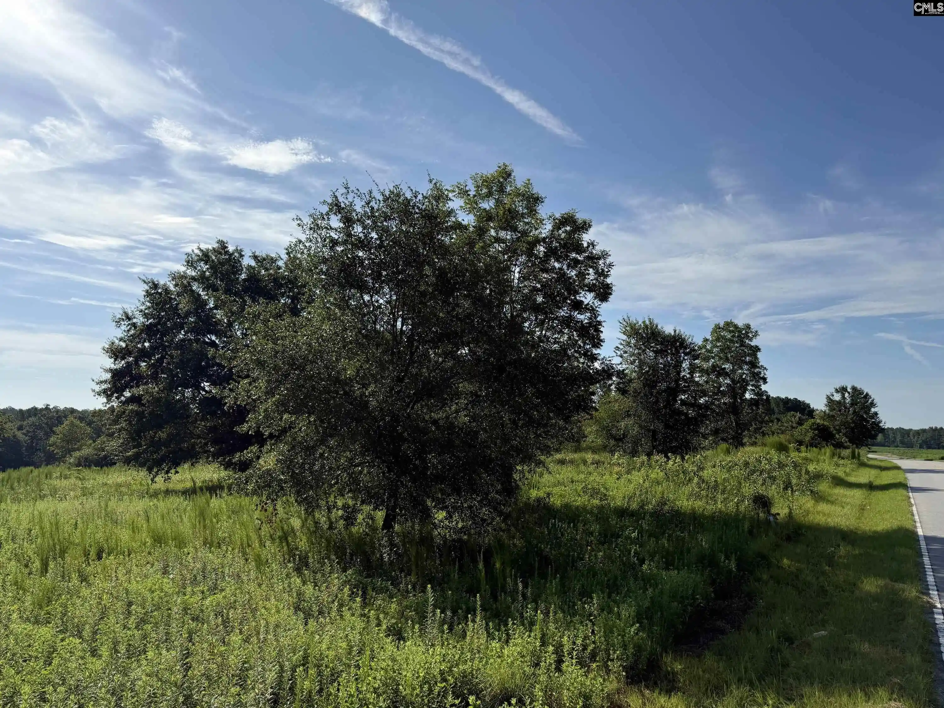 Photo 4 of Land for sale at 469 Brodie, Leesville, SC 29070 | MLS# 640484 | Listing updated on 2026-08-11