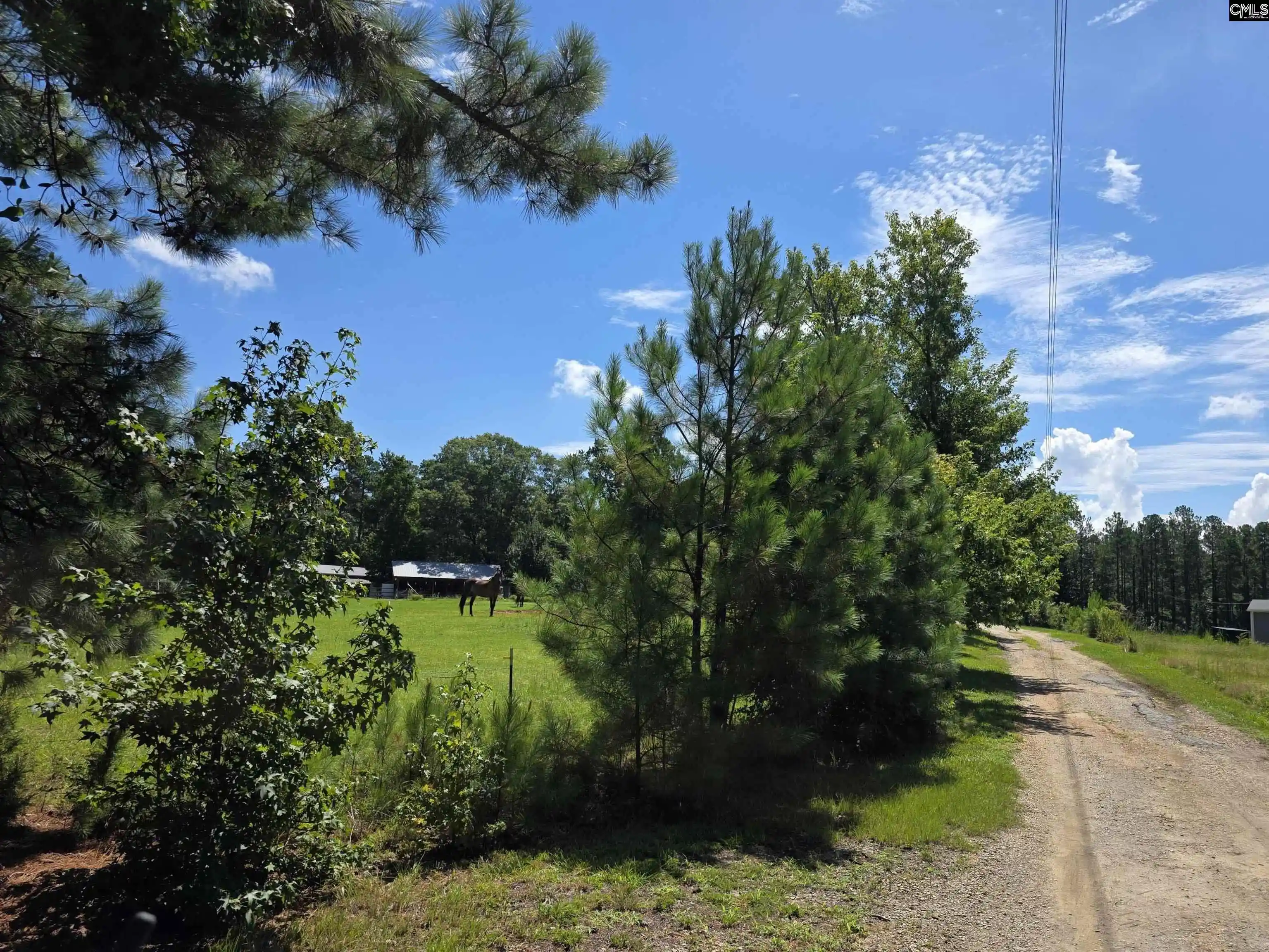 Photo 64 of Single family home for sale at 848 Stockman, Prosperity, SC 29127 | MLS# 640543 | Listing updated on 2026-08-27