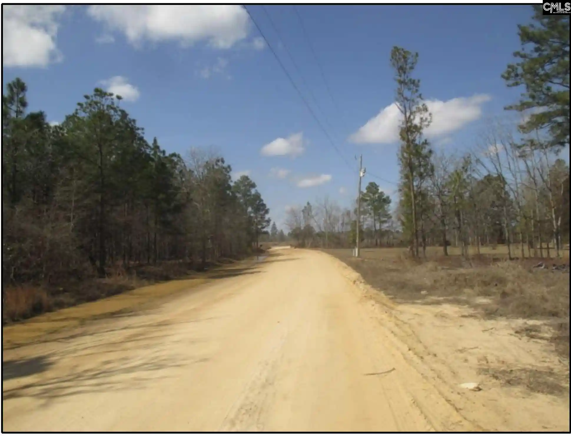 Photo 4 of Land for sale at 000 Webbs Pond Rd, Williston, SC 29853 | MLS# 640593 | Listing updated on 2026-08-12