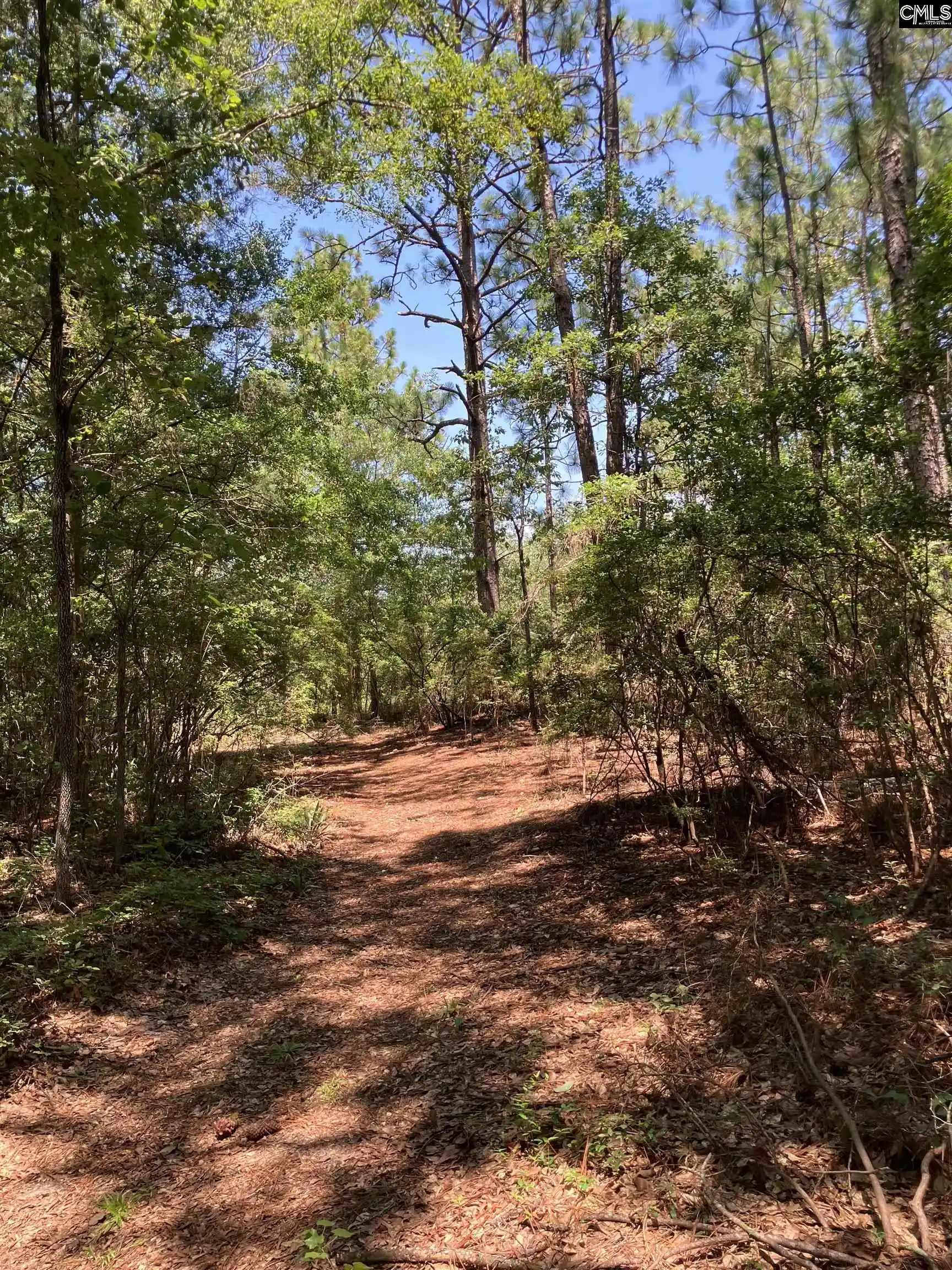 6th image of Tbd Mack, Gaston, SC 29053 | MLS# 640699