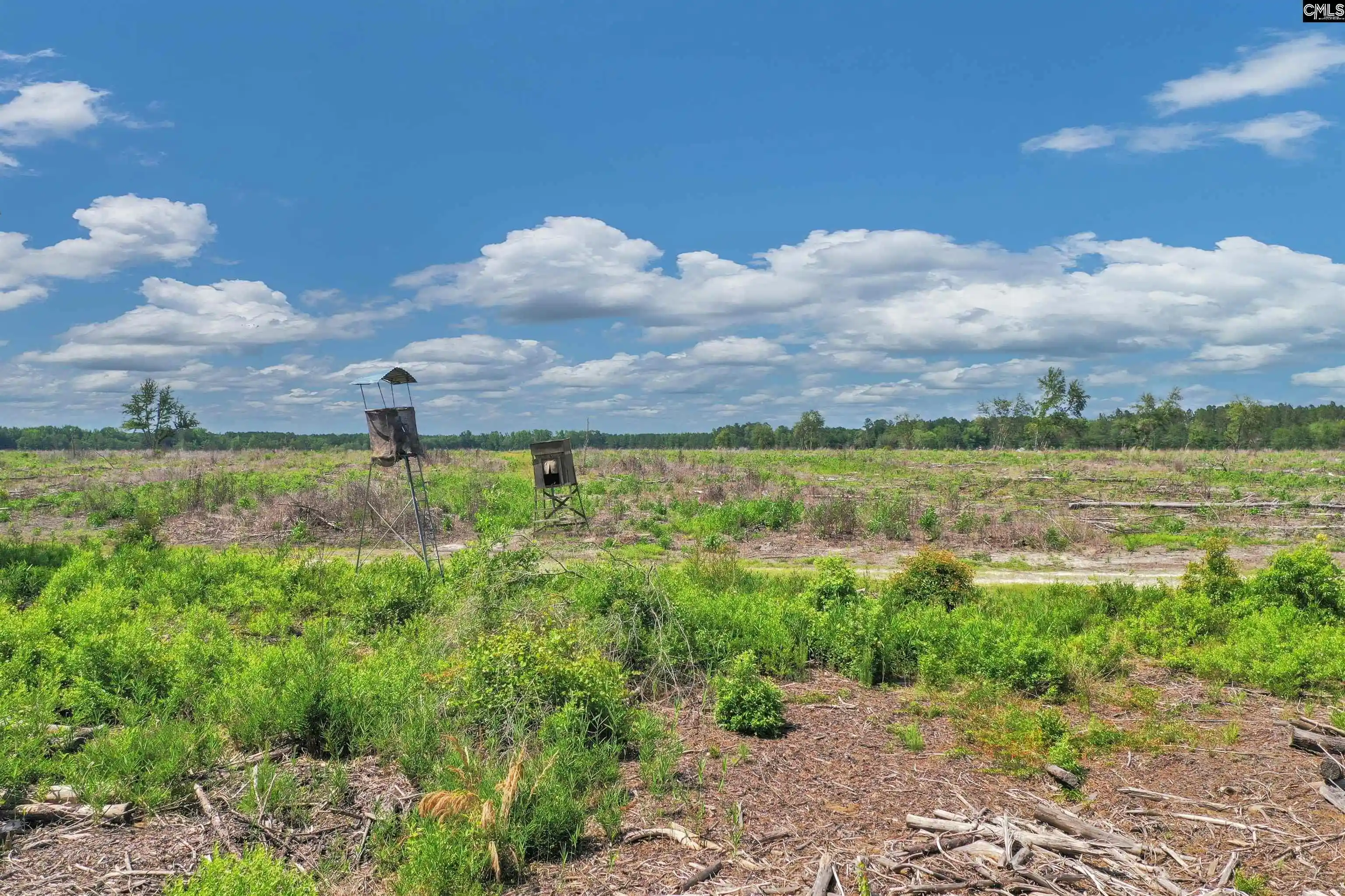 5th image of 0000 N Brewington #3B, Manning, SC 29102 | MLS# 640700