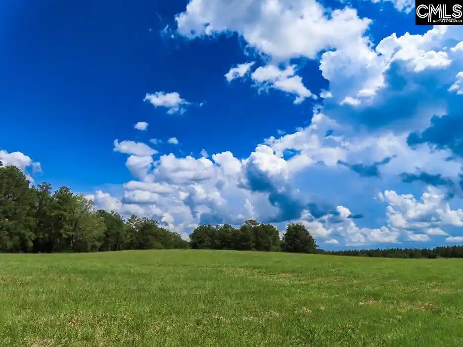 Photo 4 of Land for sale at 529 Martin, Winnsboro, SC 29180 | MLS# 640716 | Listing updated on 2026-08-13