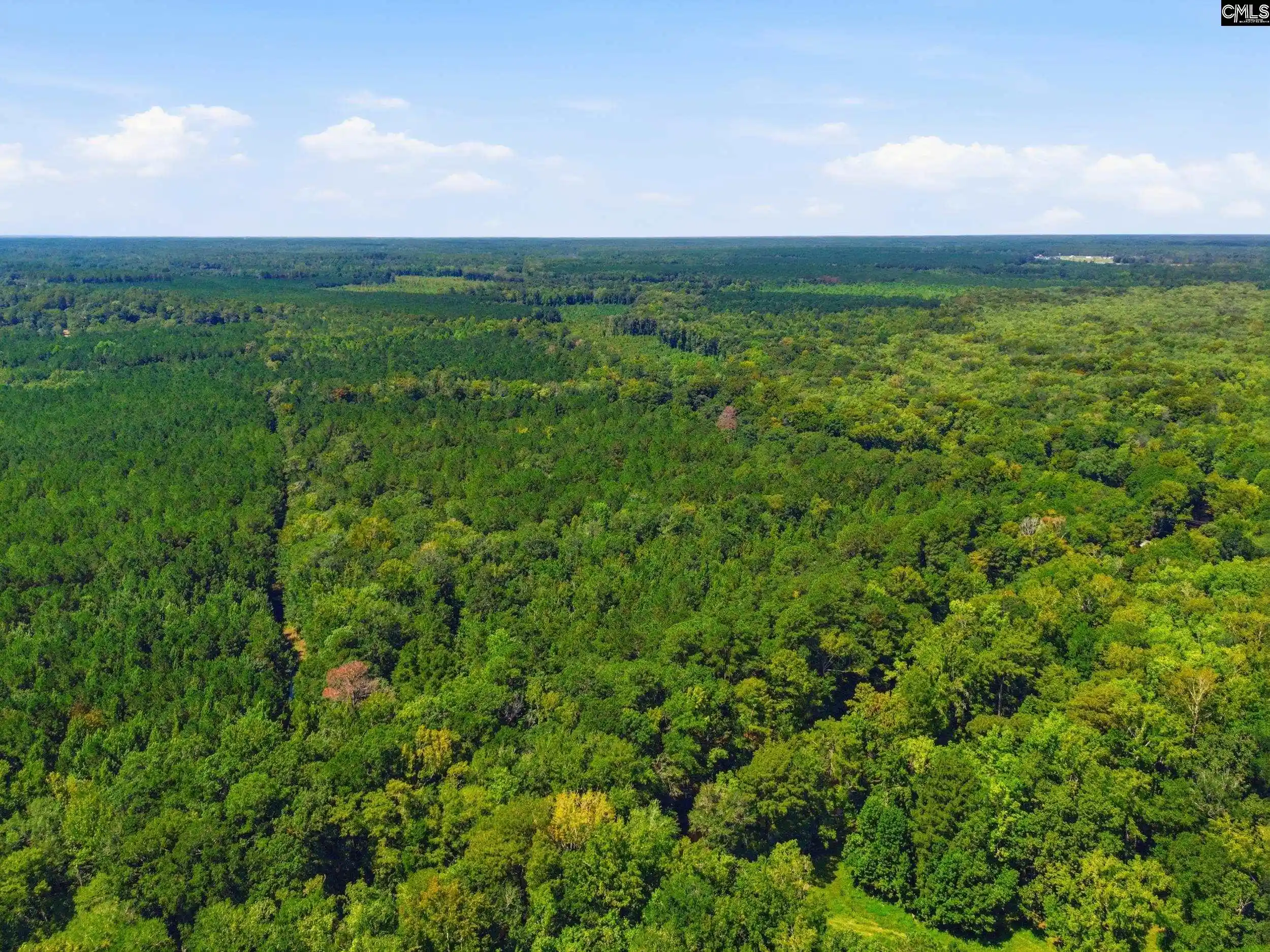 Photo 3 of Land for sale at 0 Shillings Bridge, Orangeburg, SC 29118 | MLS# 640724 | Listing updated on 2026-10-03