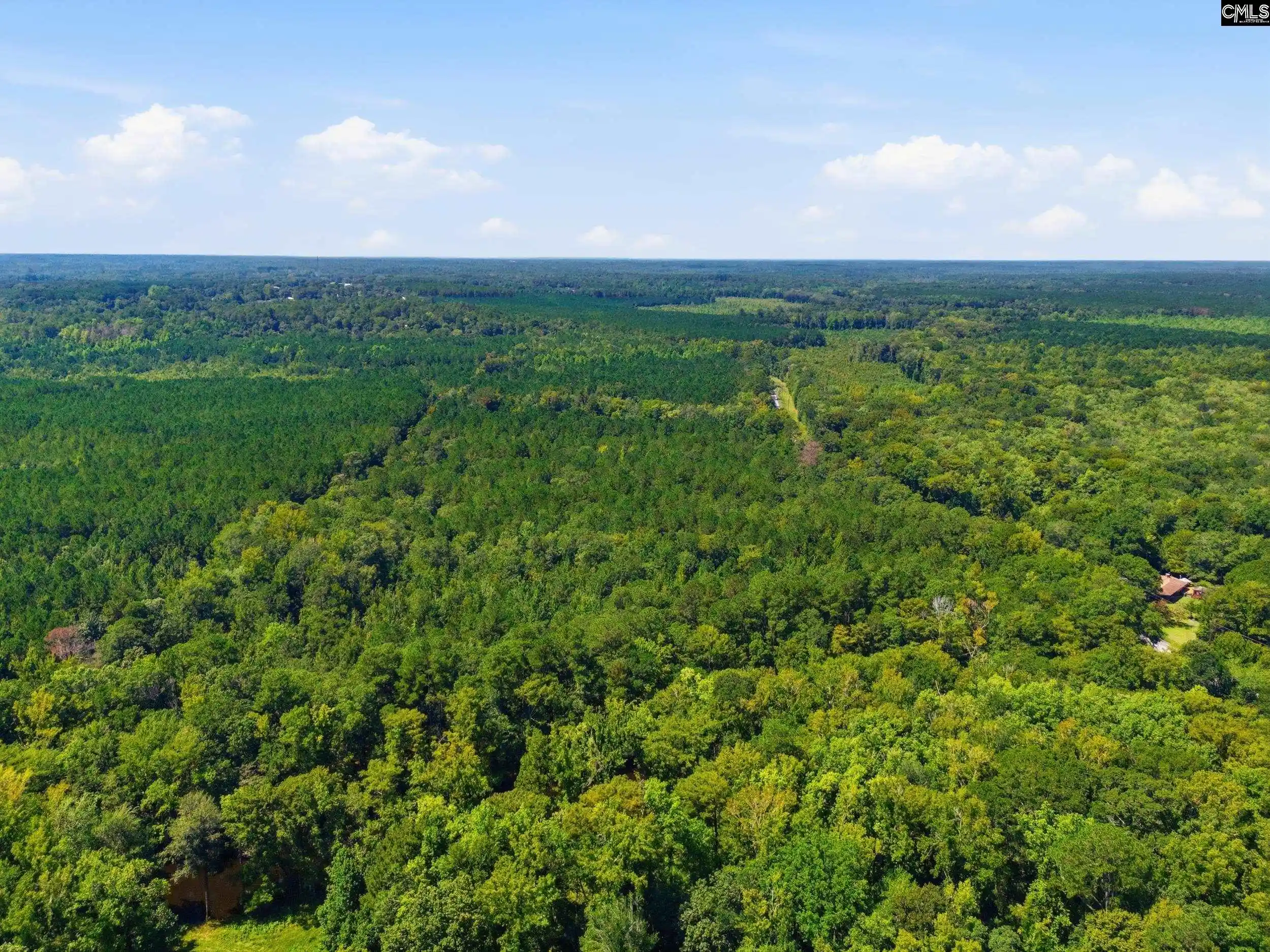Photo 3 of Land for sale at 0 Shillings Bridge, Orangeburg, SC 29118 | MLS# 640724 | Listing updated on 2026-10-03