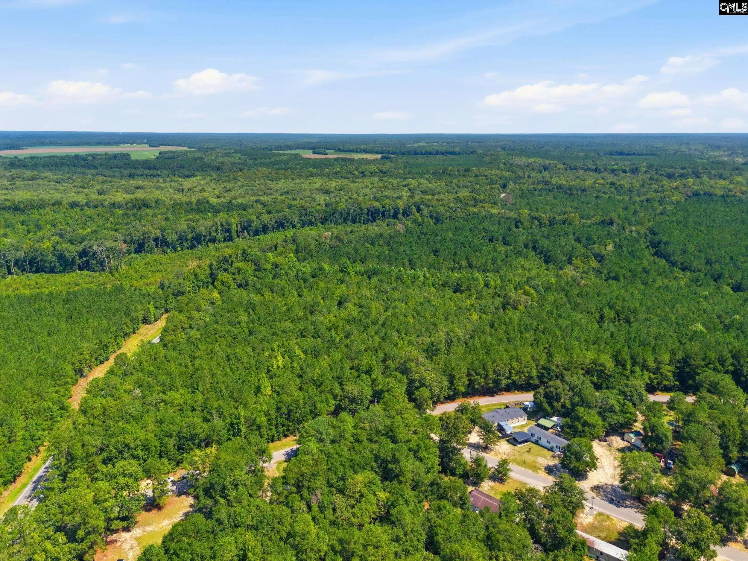 15th image of 0 Shillings Bridge, Orangeburg, SC 29118 | MLS# 640724