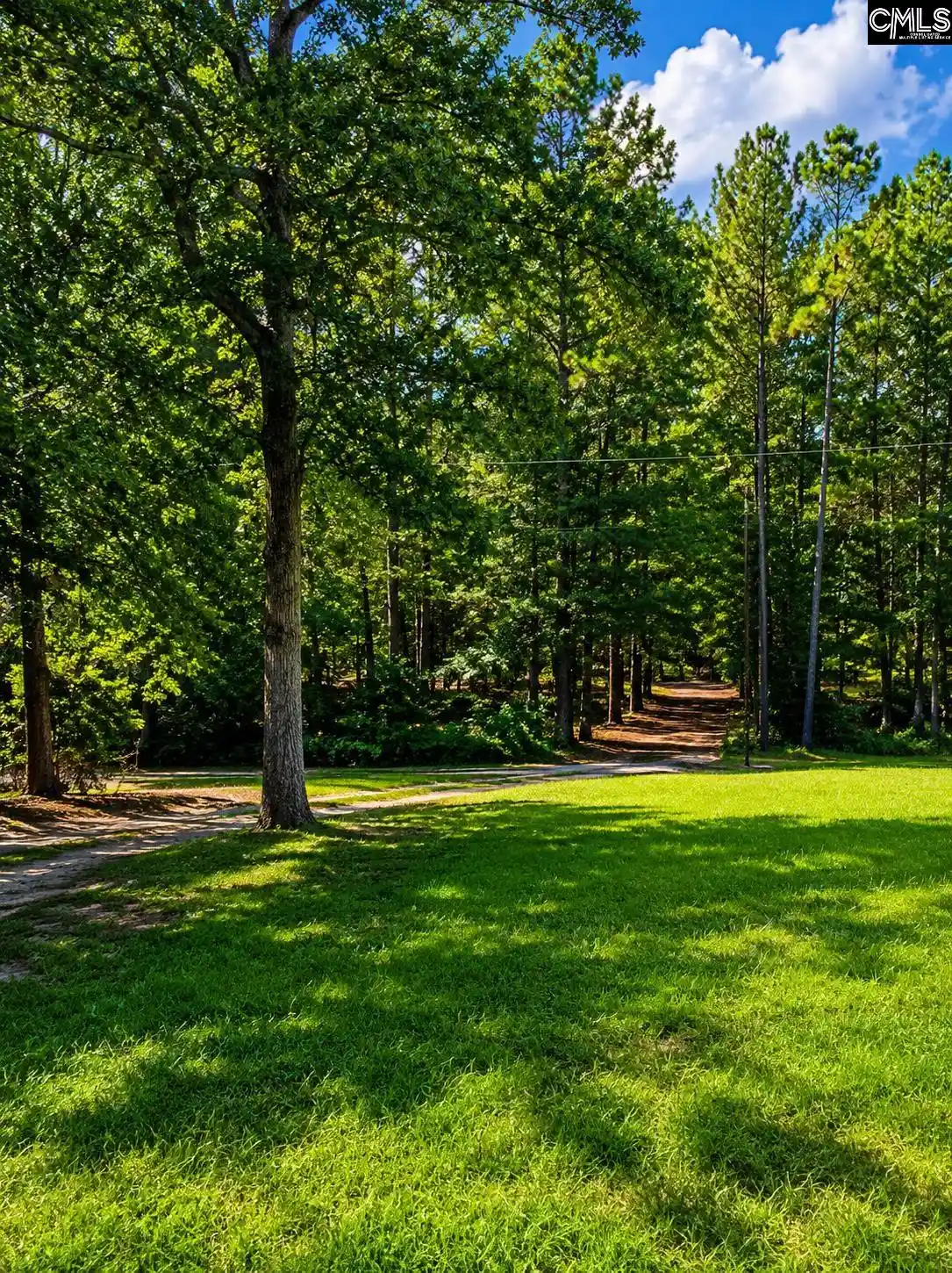 5th image of 113 113 Sugar Bottom, Leesville, SC 29070 | MLS# 640801