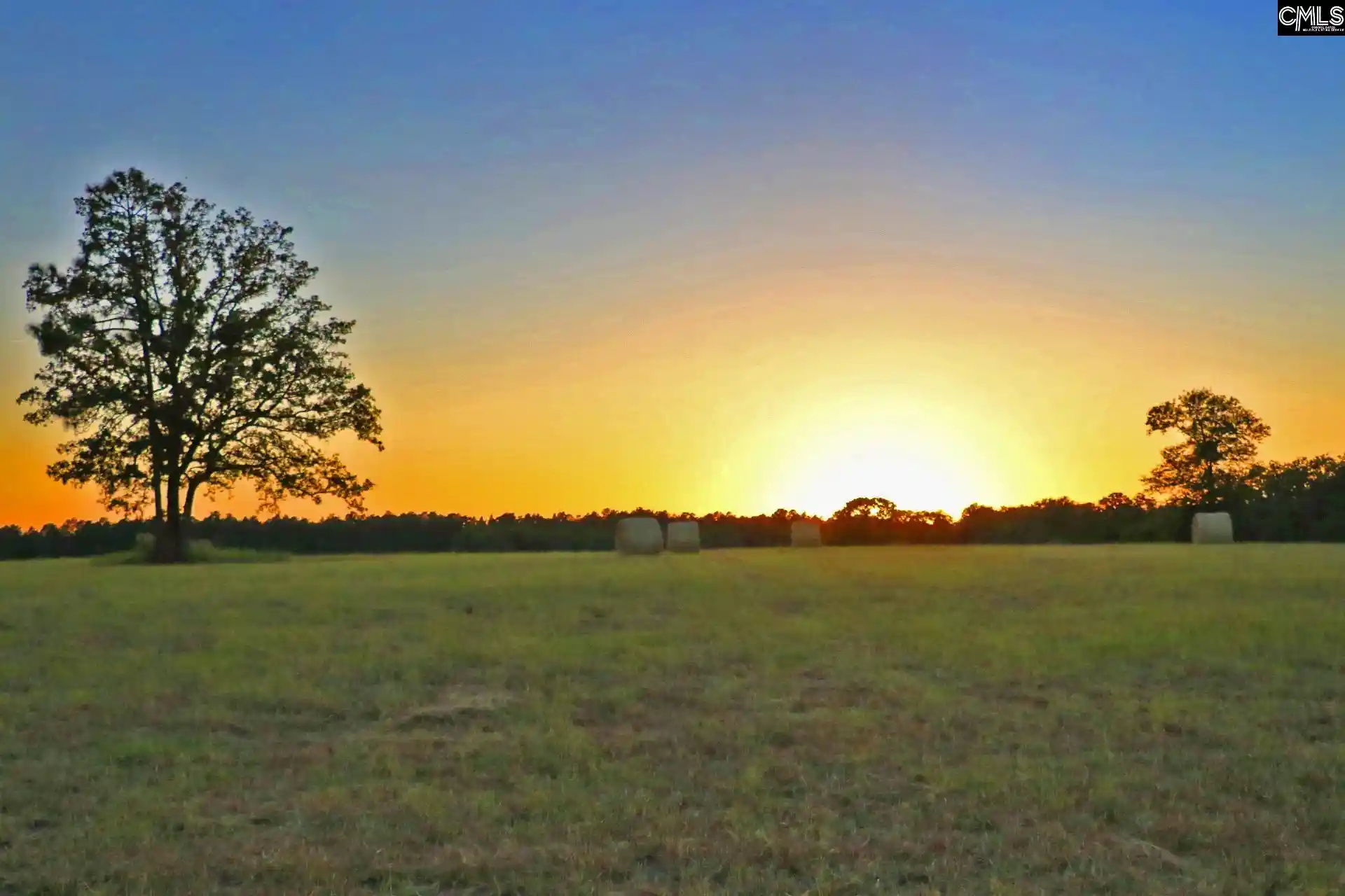 Photo 1 of Land for sale at Tbd Browns Pond, Wagener, SC 29164 | MLS# 640959 | Listing updated on 2026-08-16