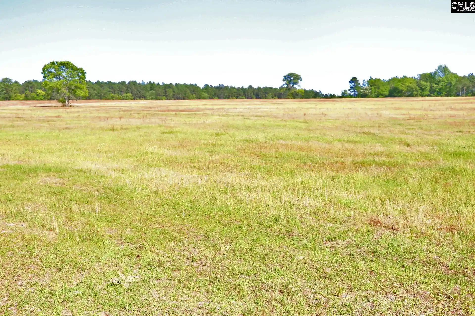 Photo 2 of Land for sale at Tbd Browns Pond, Wagener, SC 29164 | MLS# 640959 | Listing updated on 2026-08-16