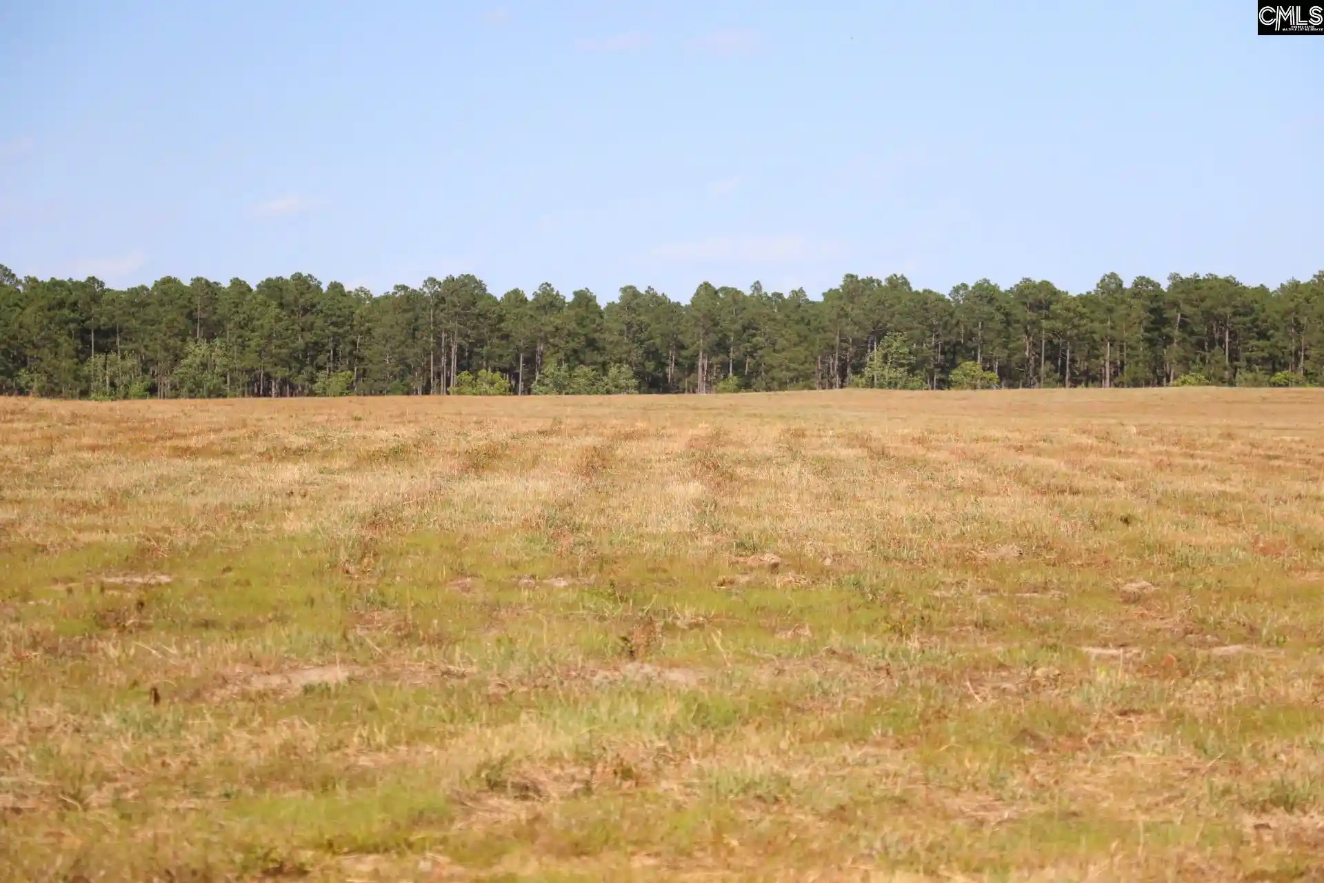 Photo 3 of Land for sale at Tbd Browns Pond, Wagener, SC 29164 | MLS# 640959 | Listing updated on 2026-09-29