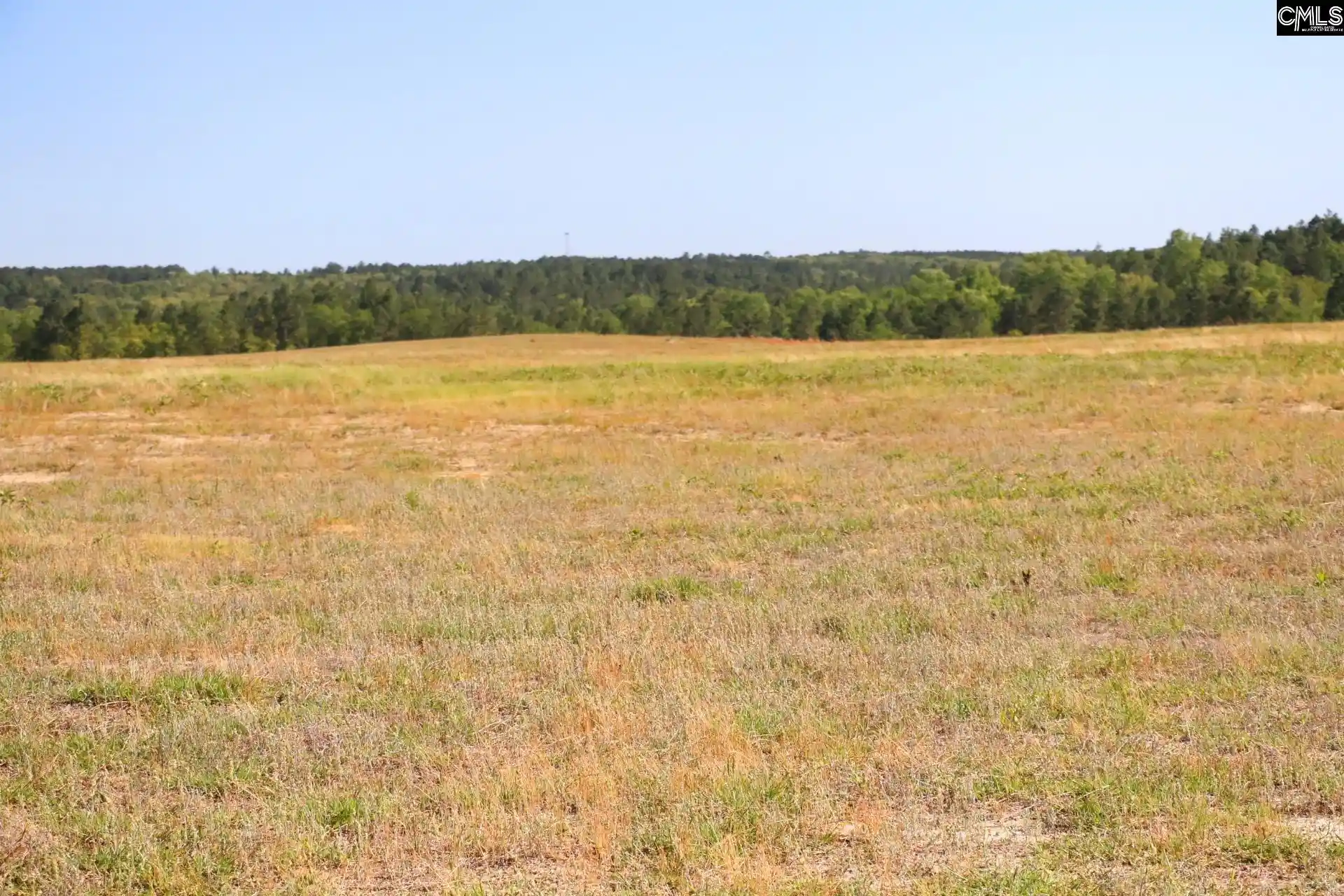 Photo 4 of Land for sale at Tbd Browns Pond, Wagener, SC 29164 | MLS# 640959 | Listing updated on 2026-09-29