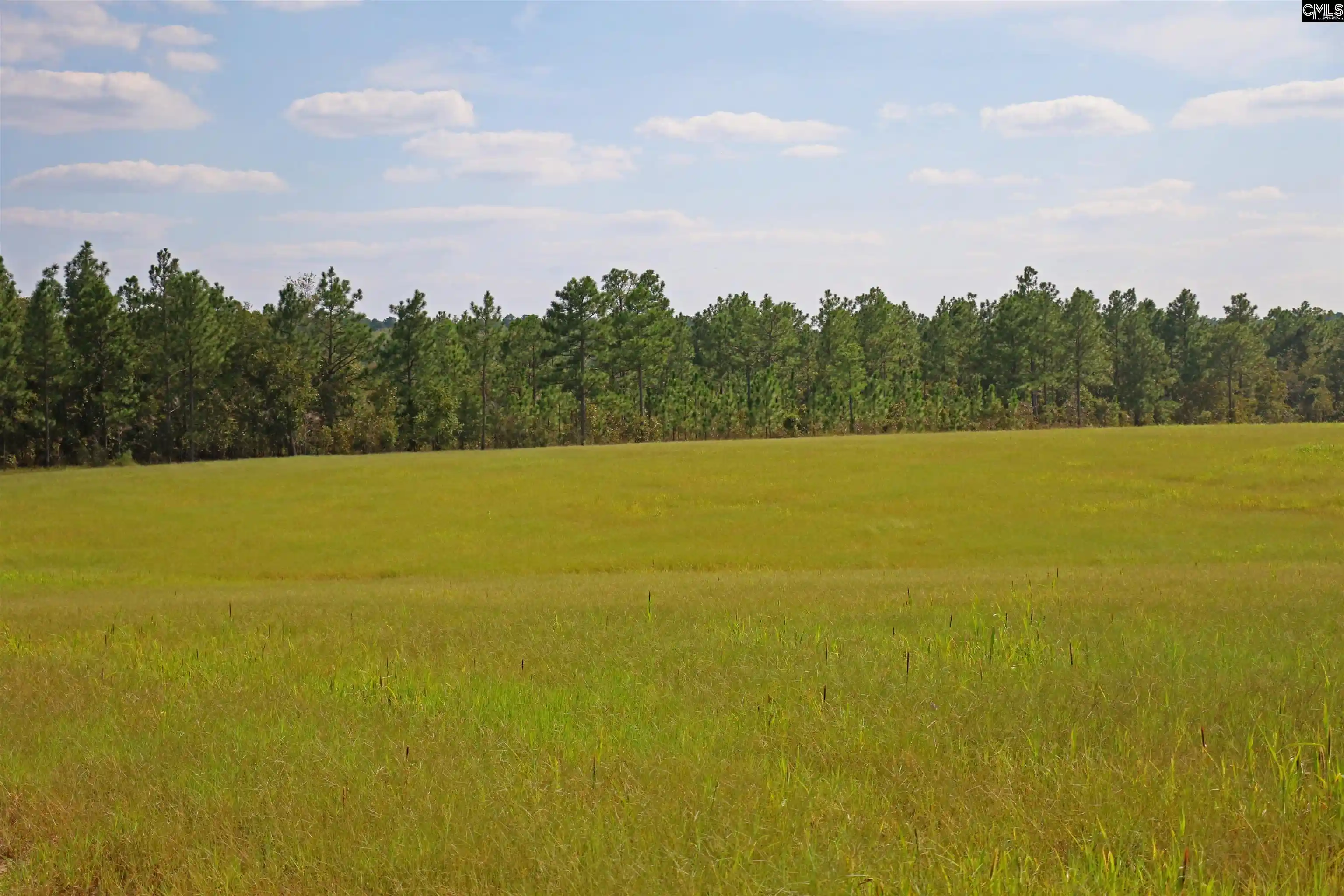 Photo 54 of Land for sale at Tbd Browns Pond, Wagener, SC 29164 | MLS# 640959 | Listing updated on 2026-08-16