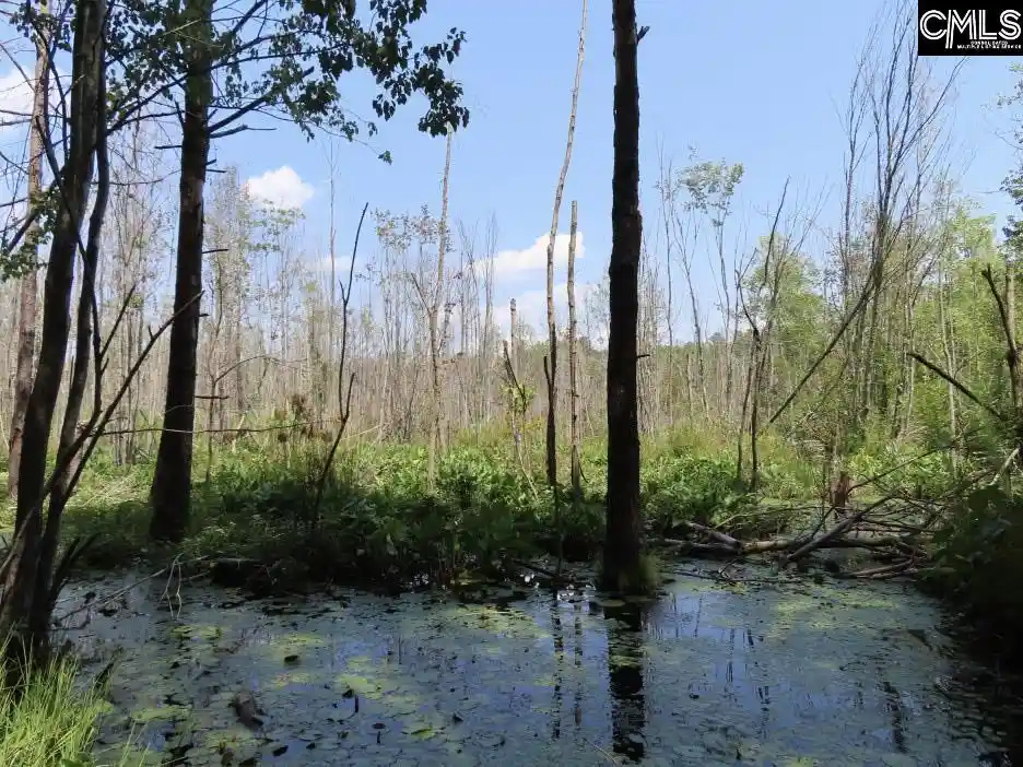 Photo 3 of Land for sale at 231 Ault, Hopkins, SC 29061 | MLS# 641004 | Listing updated on 2026-08-17