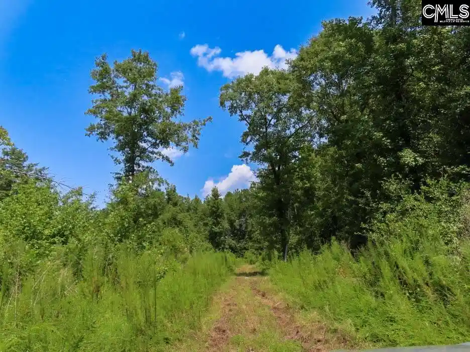 Photo 3 of Land for sale at 231 Ault, Hopkins, SC 29061 | MLS# 641004 | Listing updated on 2026-08-17