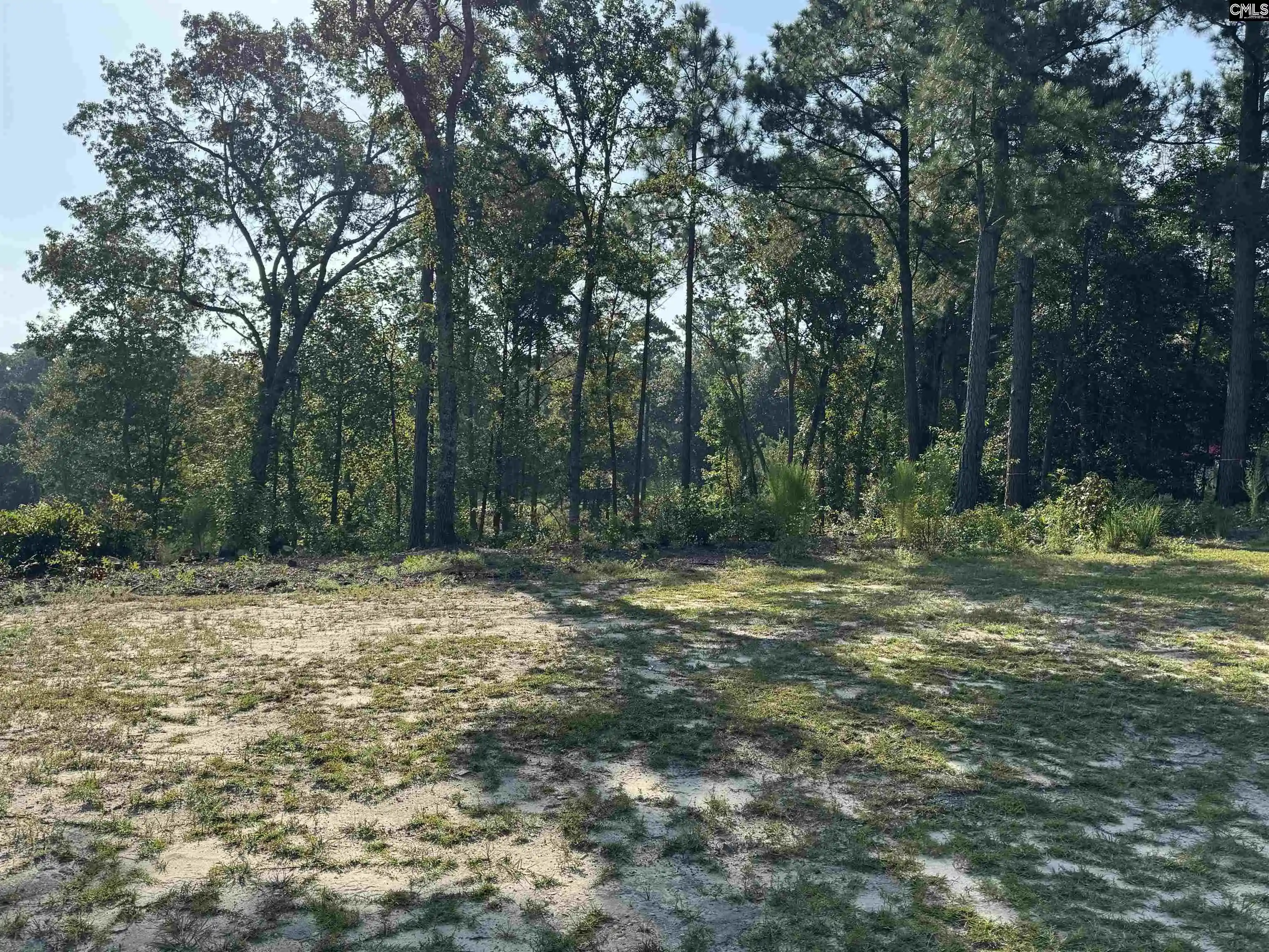 Photo 1 of Land for sale at 208 Crickentree Dr, Blythewood, SC 29016 | MLS# 641046 | Listing updated on 2026-09-03