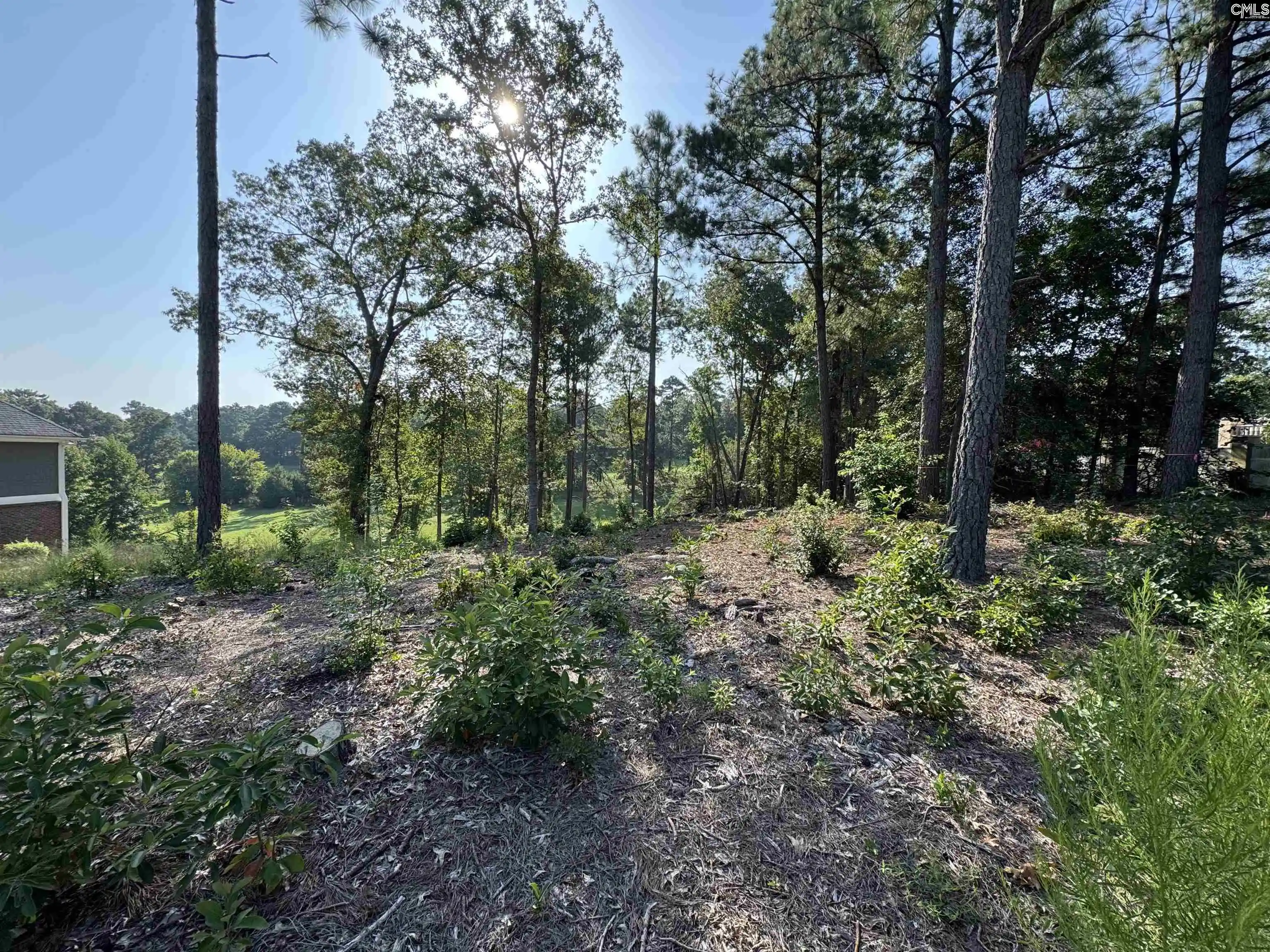 Photo 3 of Land for sale at 208 Crickentree Dr, Blythewood, SC 29016 | MLS# 641046 | Listing updated on 2026-09-03
