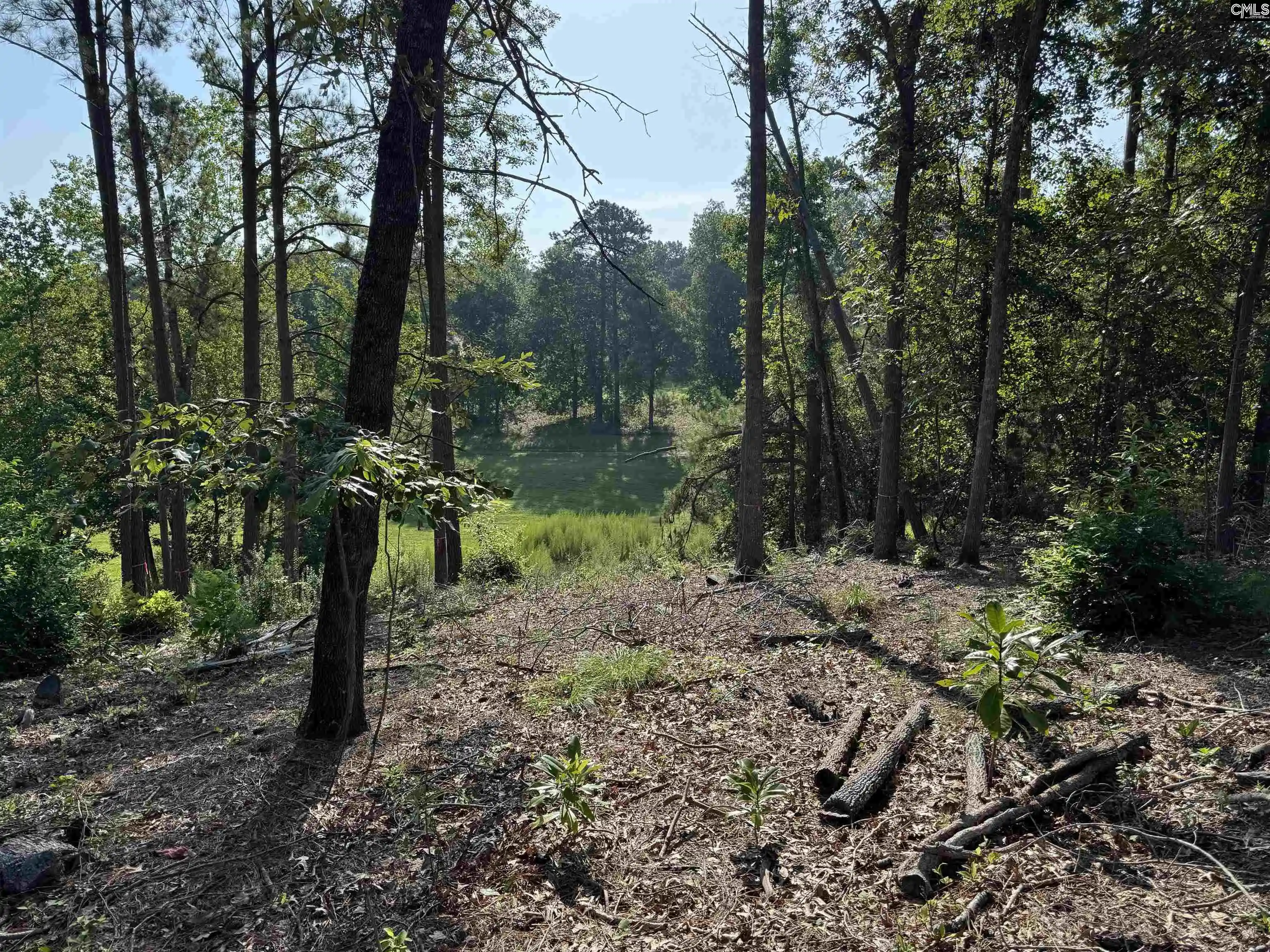 Photo 4 of Land for sale at 208 Crickentree Dr, Blythewood, SC 29016 | MLS# 641046 | Listing updated on 2026-09-03