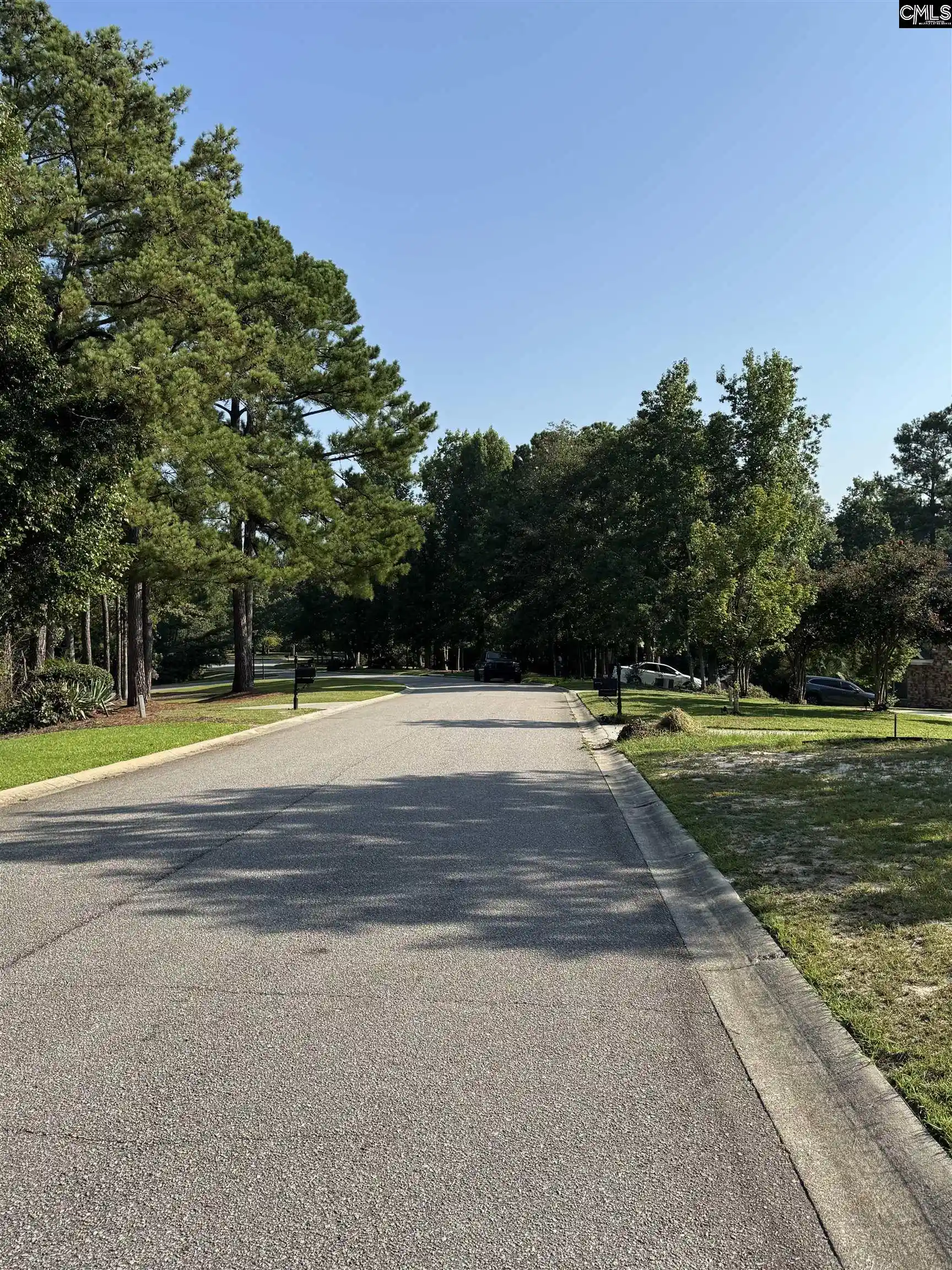 Photo 5 of Land for sale at 208 Crickentree Dr, Blythewood, SC 29016 | MLS# 641046 | Listing updated on 2026-09-03