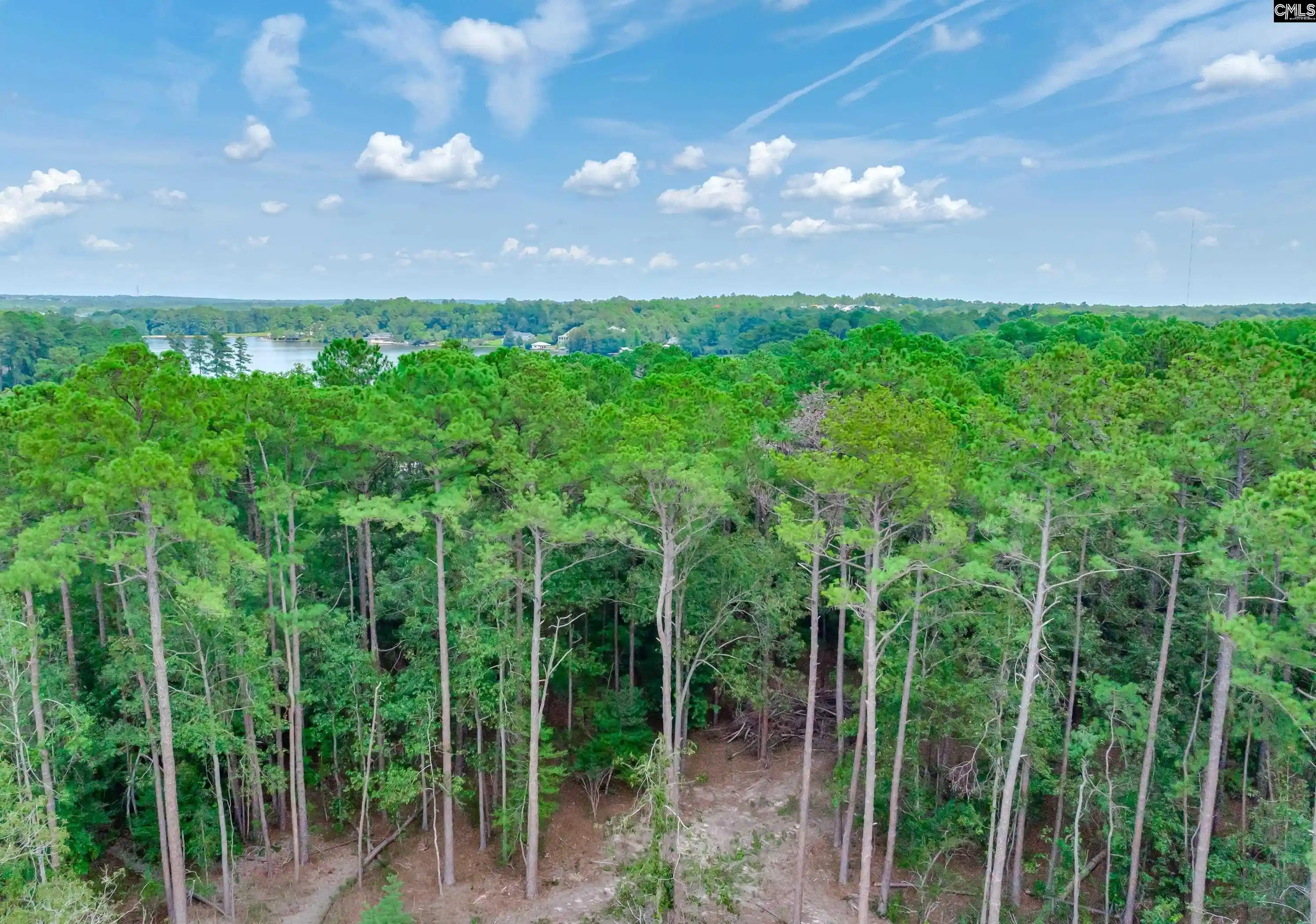 Photo 3 of Land for sale at 81 Woodcreek, Elgin, SC 29045 | MLS# 641075 | Listing updated on 2026-08-19